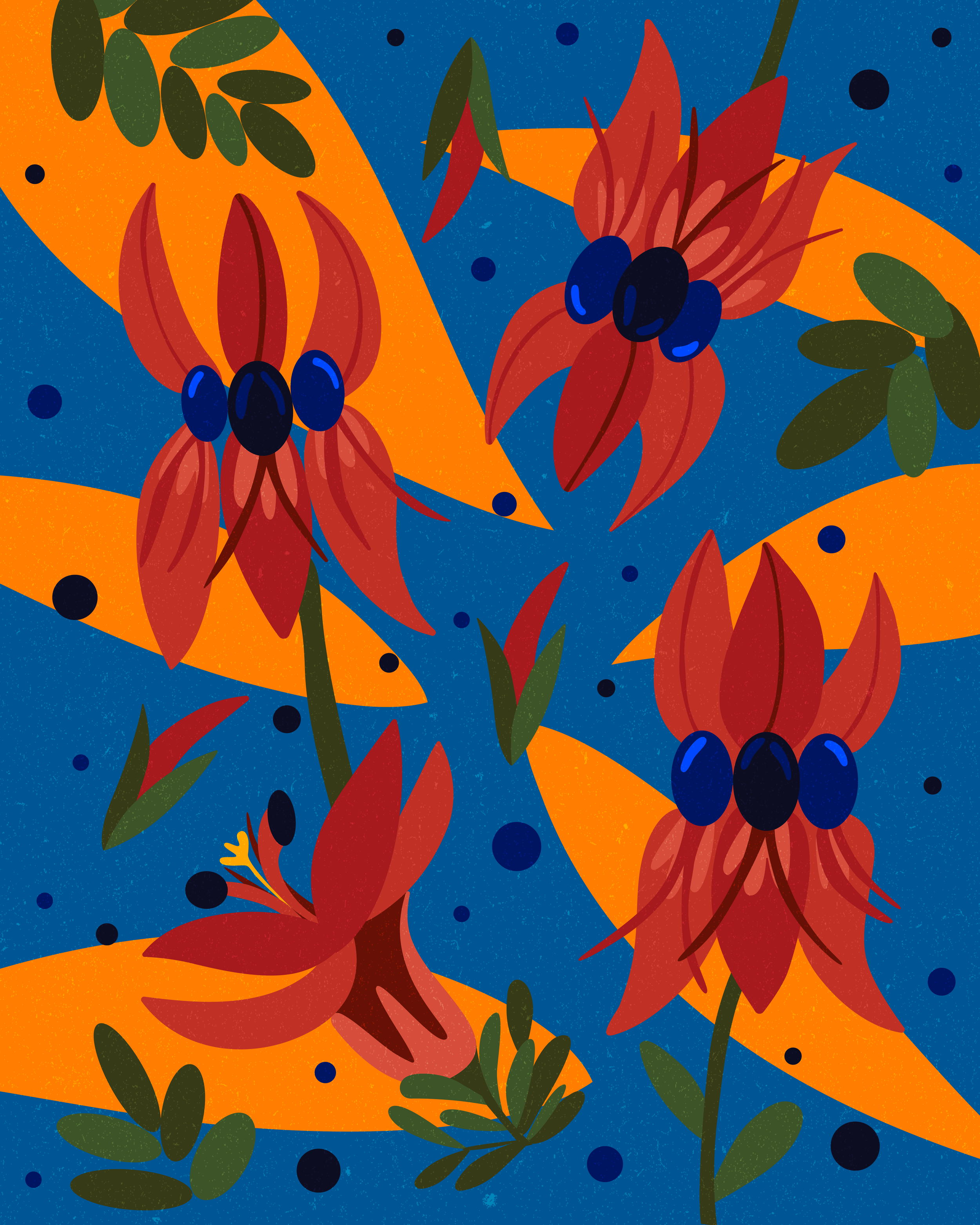   AUSTRALIAN FLOWER NO1    
  
Personal Work 