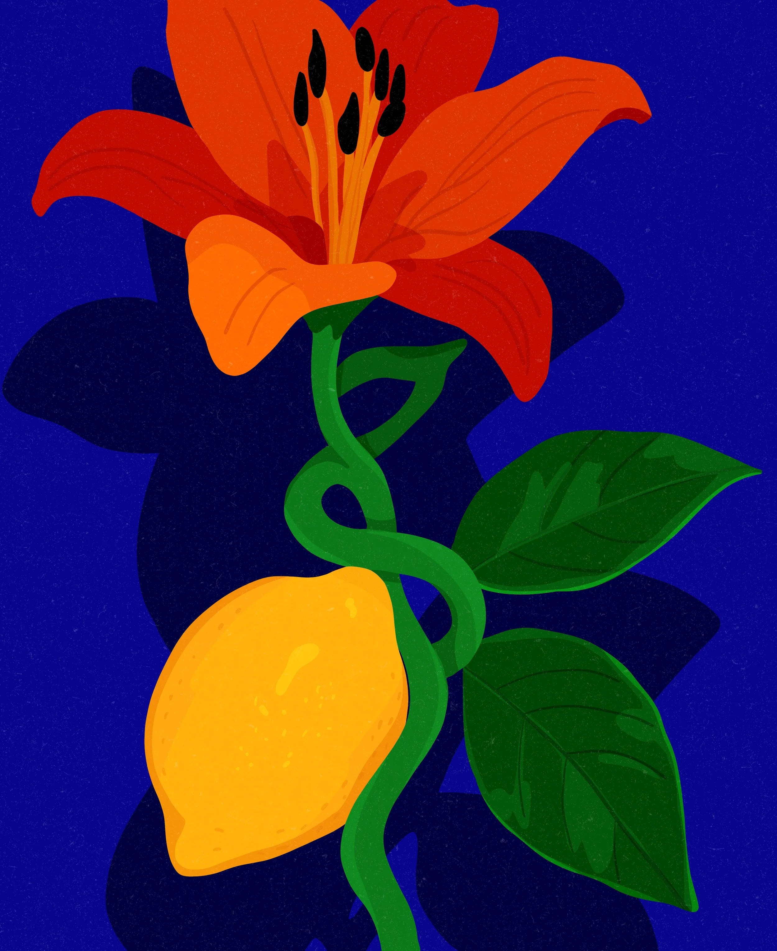   Nobody stop this plant.    
  
Personal Work 