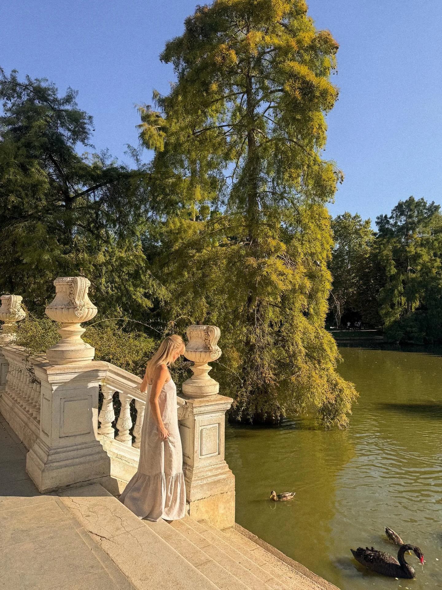 forever one of my favorite places 🌿