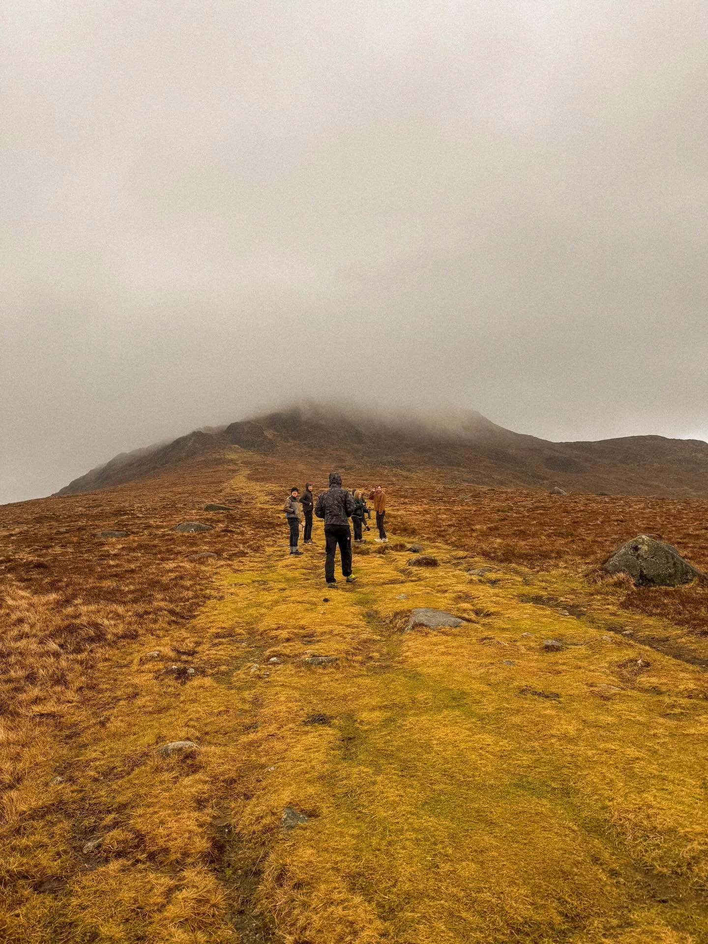 cozy in carlingford 🐏