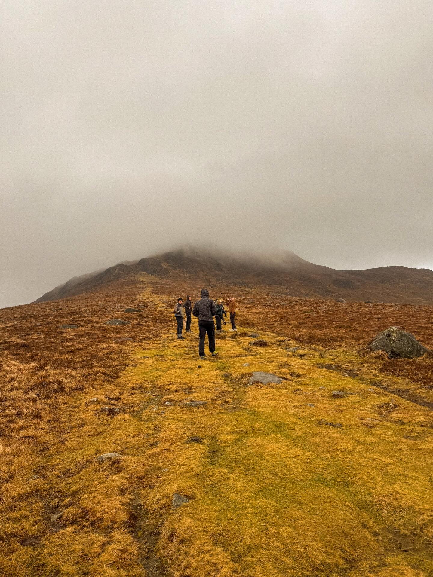 cozy in carlingford 🐏