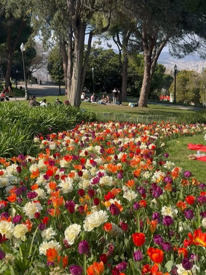 spring in barcelona 🌸🌷🌹🌻🌼🪻 >