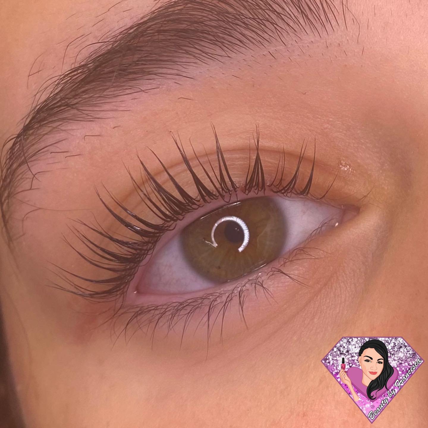 LVL lash 6.jpg