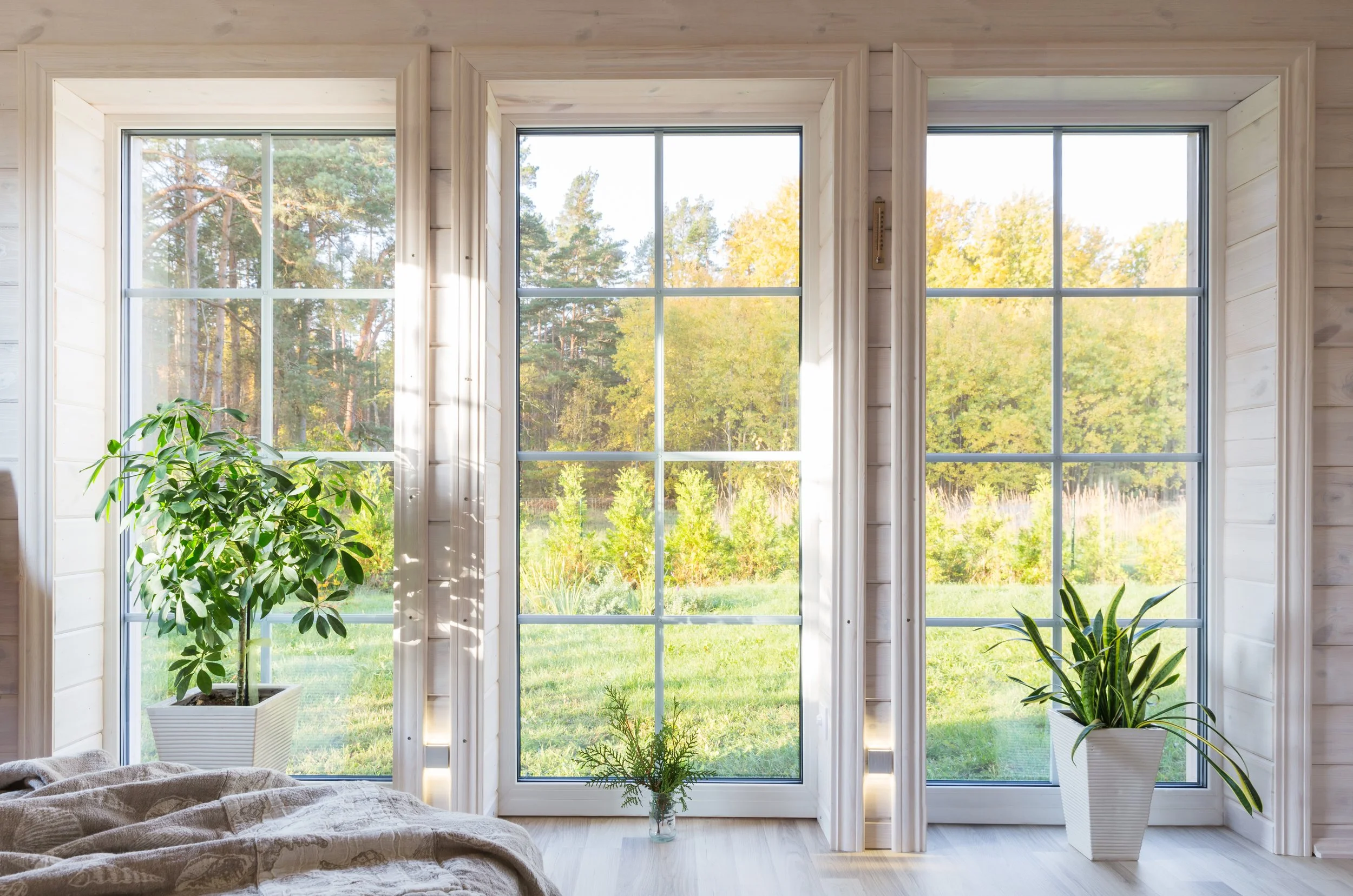 bright-interior-room-wooden-house-with-large-window-overlooking-autumn-courtyard-golden-autumn-landscape-white-window-home-garden-fall-concept-plant-sansevieria-trifasciata.jpg