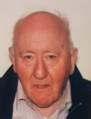 Michael Bermingham