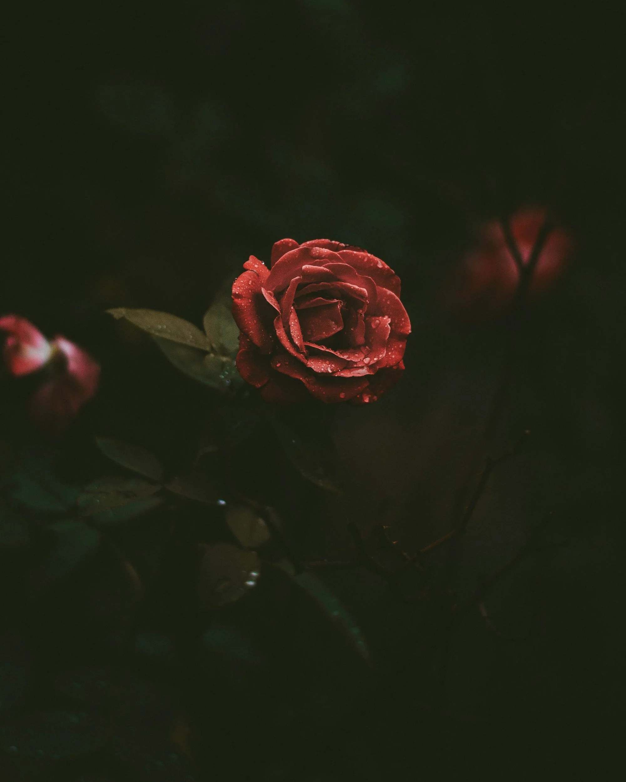 Romantasy writing challenge winners