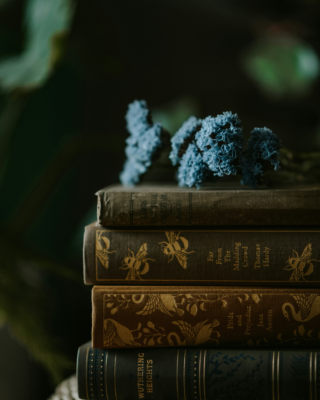 5 Common Worldbuilding Mistakes New fantasy Writers Make&nbsp;