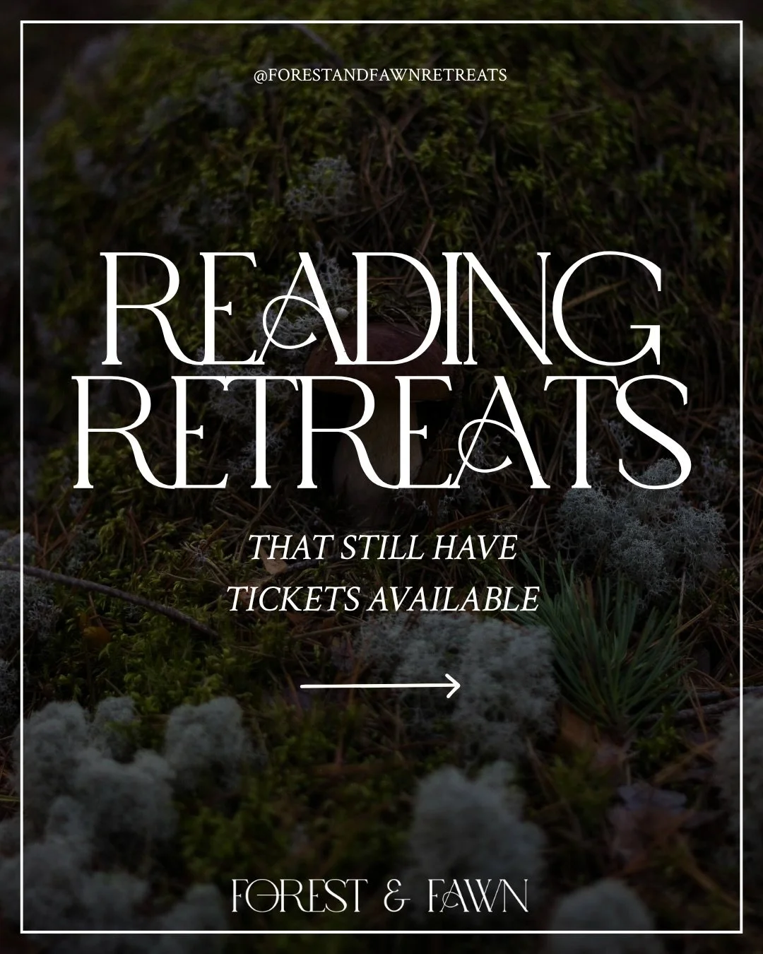 Tickets are almost gone for these upcoming retreats! 

Want to learn more and be part of one of our bookish getaways? Comment &ldquo;RETREATS26&rdquo; and we&rsquo;ll send you a link to our website 😜

#Fantasybookrecommendations #fantasybooks #roman