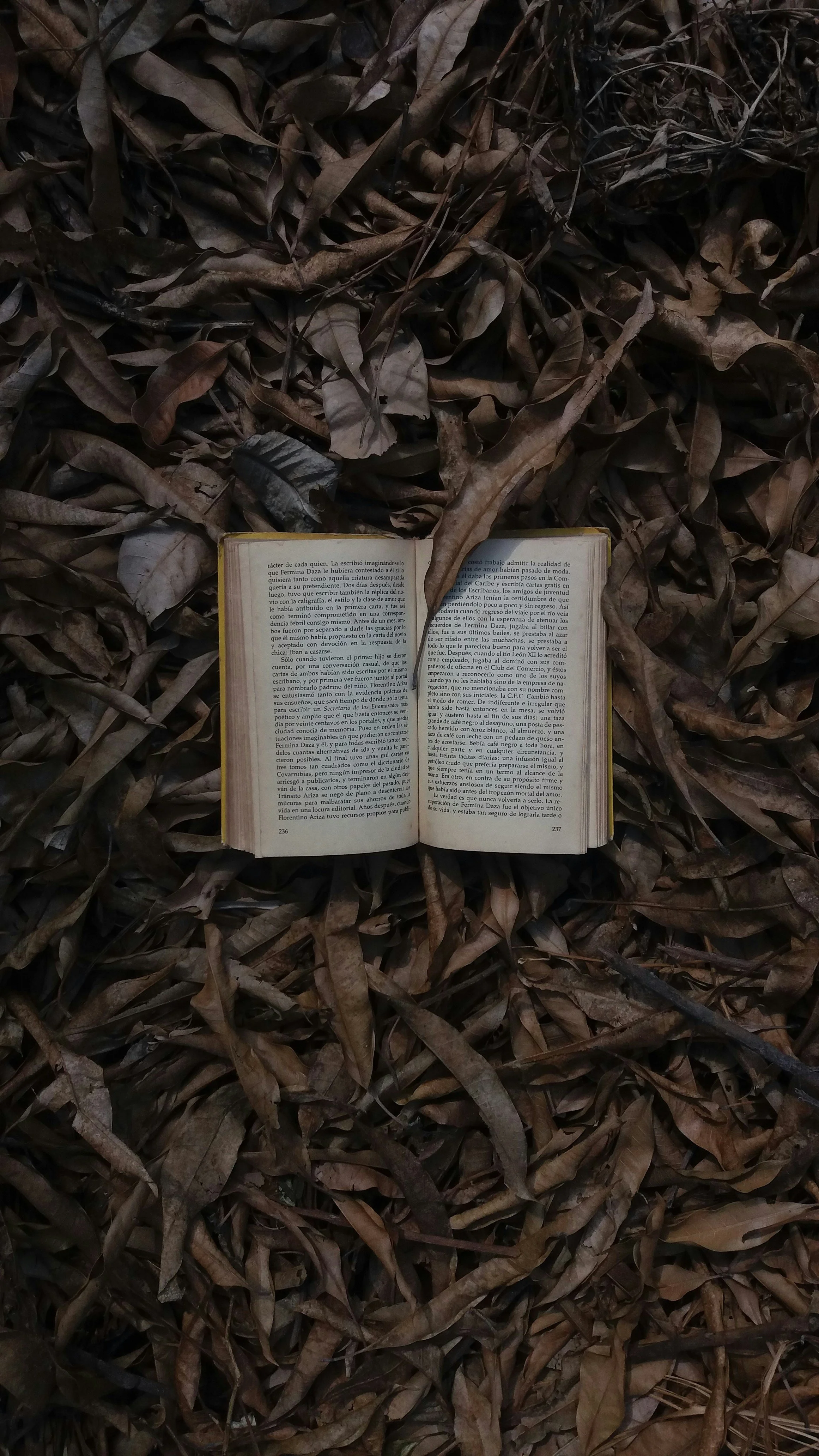 Why Fantasy Fans Are Flocking to Reading Retreats and Book Retreats