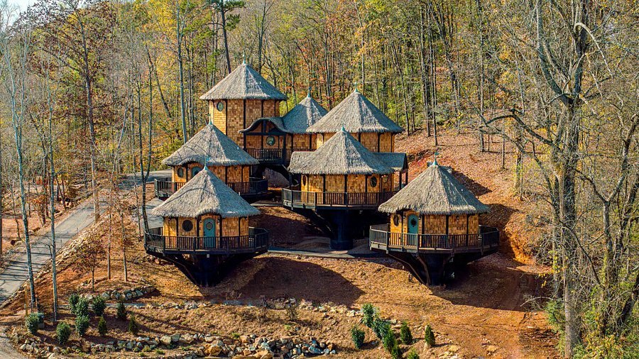elven-grove-treehouses.jpg