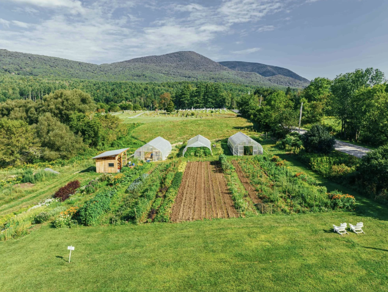 Screenshot 2026-02-06 at 2.26.55 PM.png