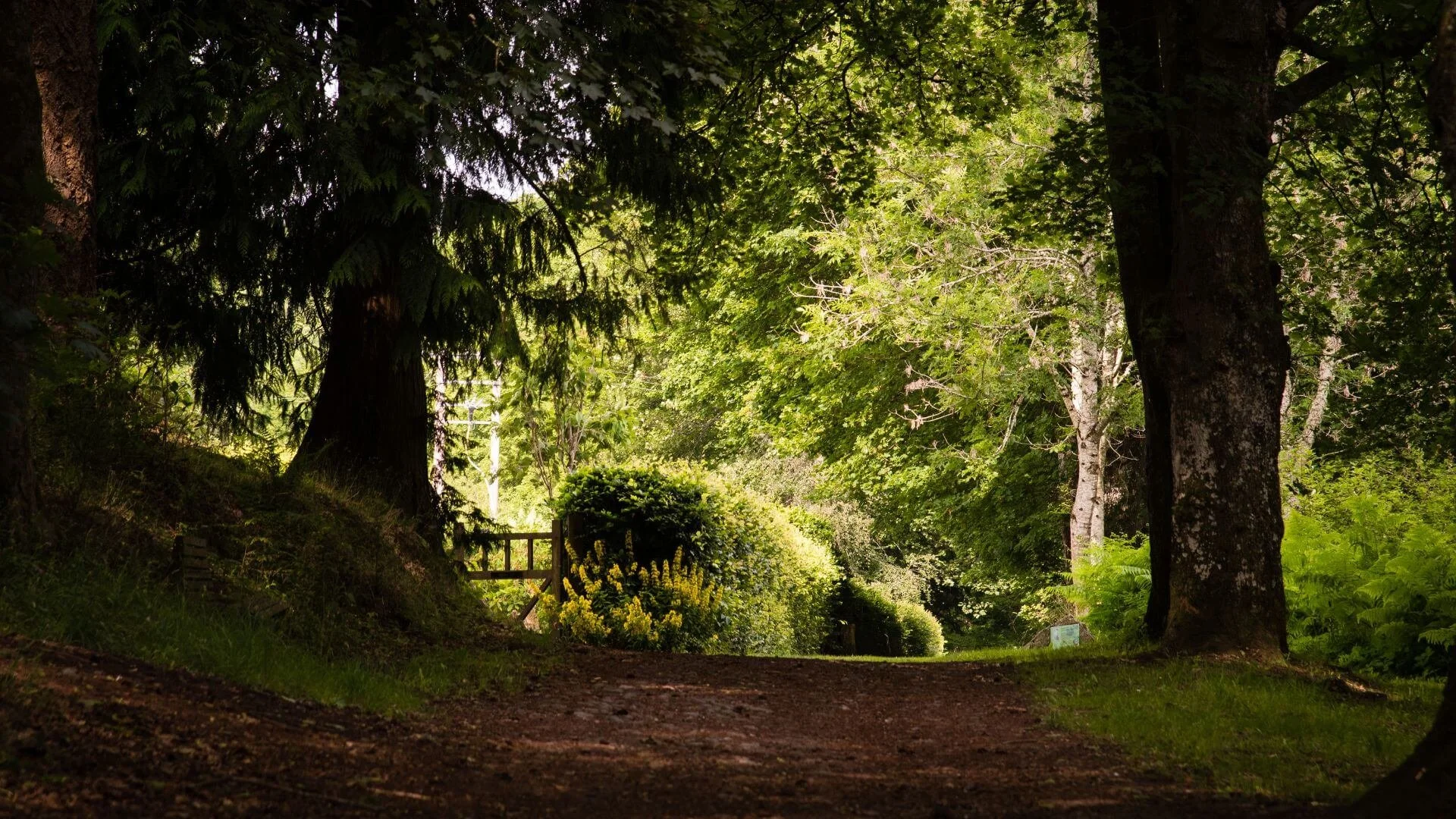 Atholl-Gardens.jpg