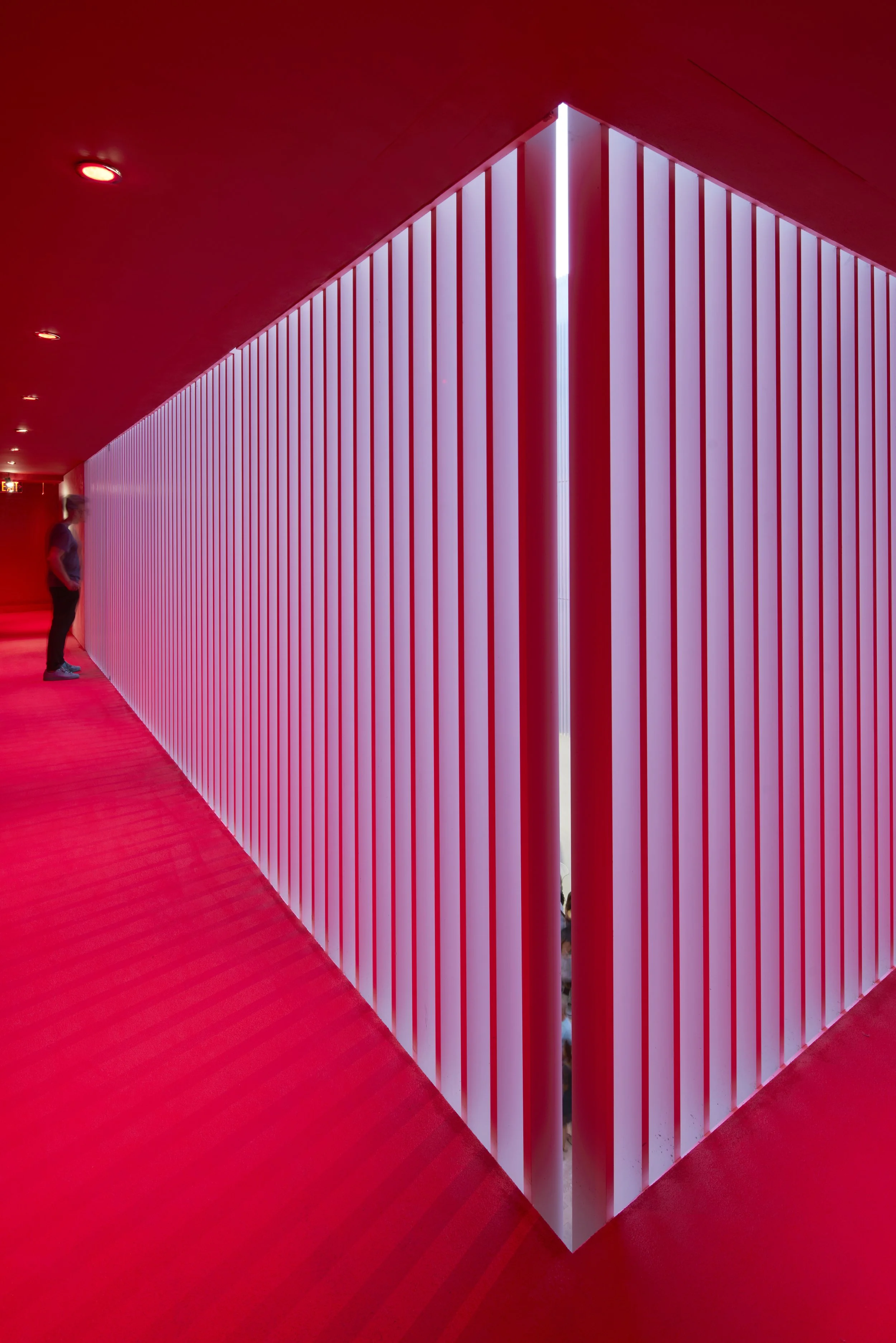 Int. Miami Art Gallery Wall