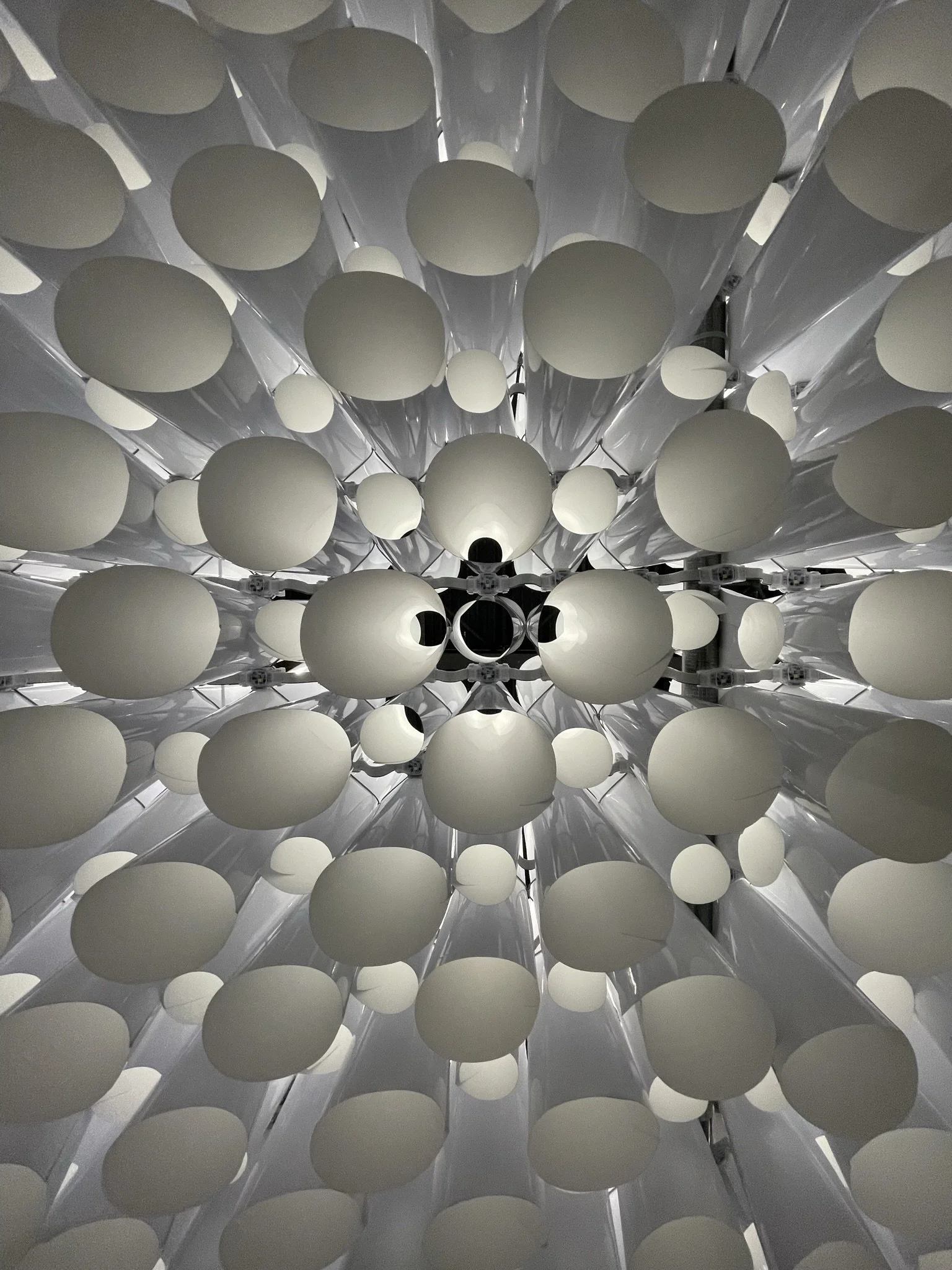 Seeds of Light_03.JPEG