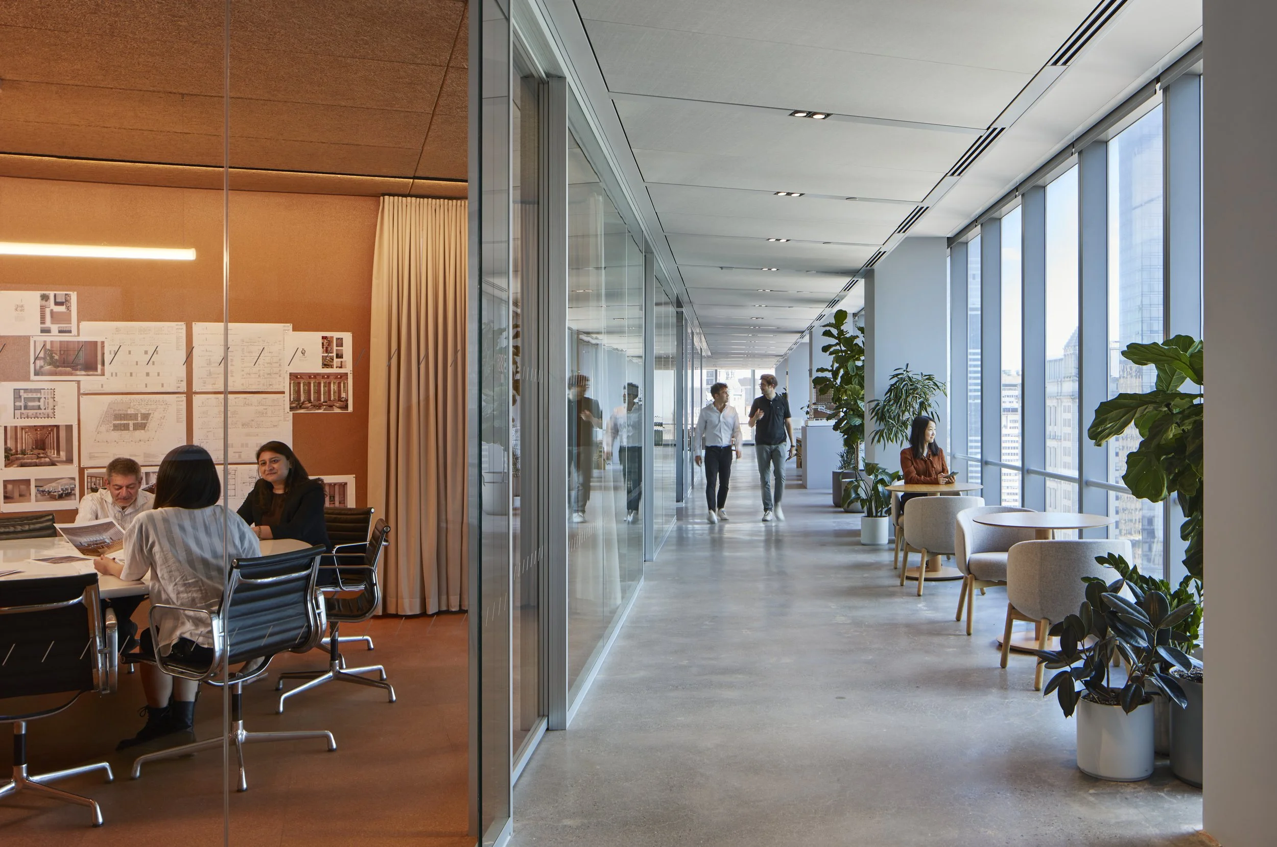 Int. Hallway and Meeting Room