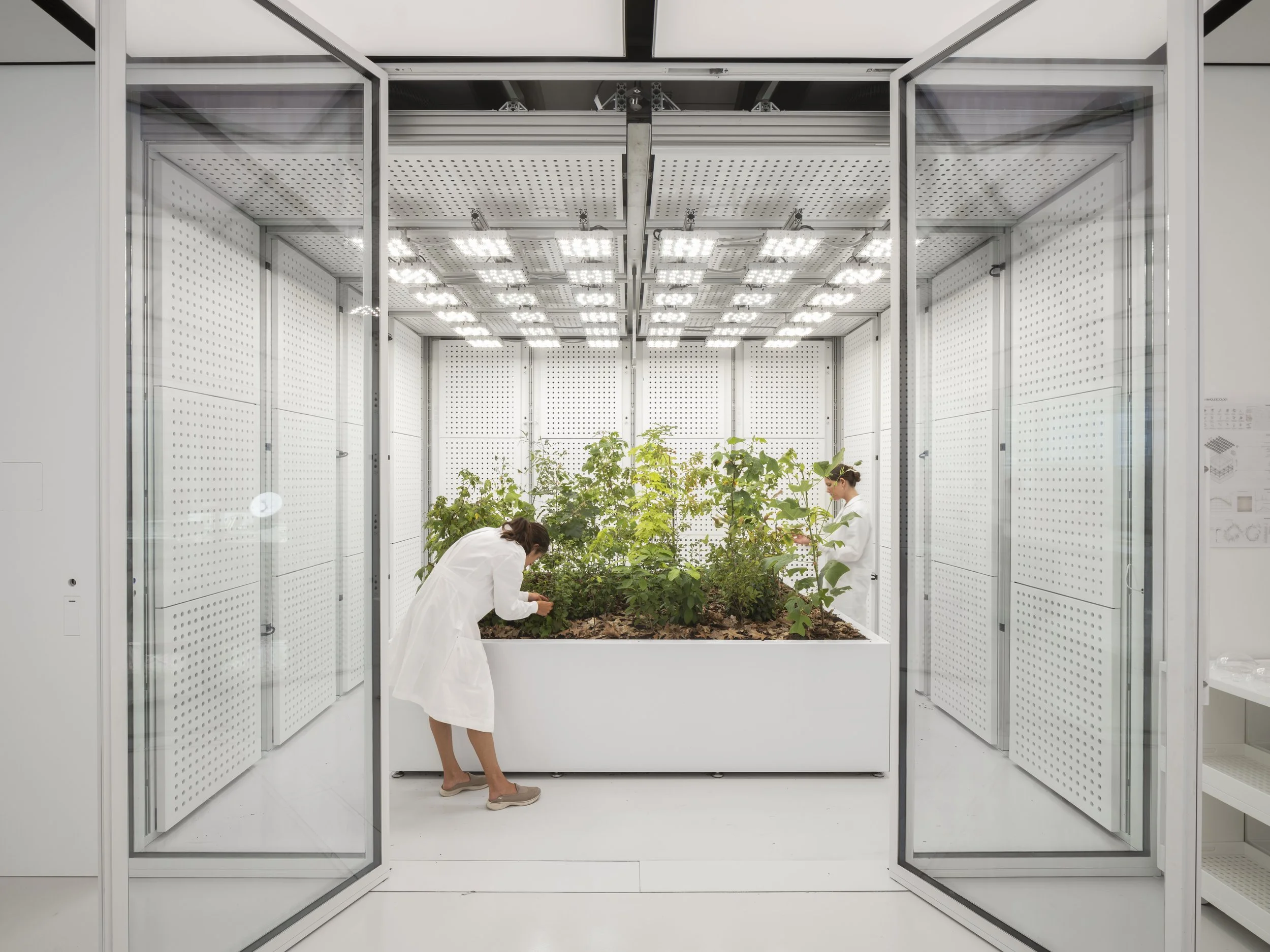 Int. Grow Room