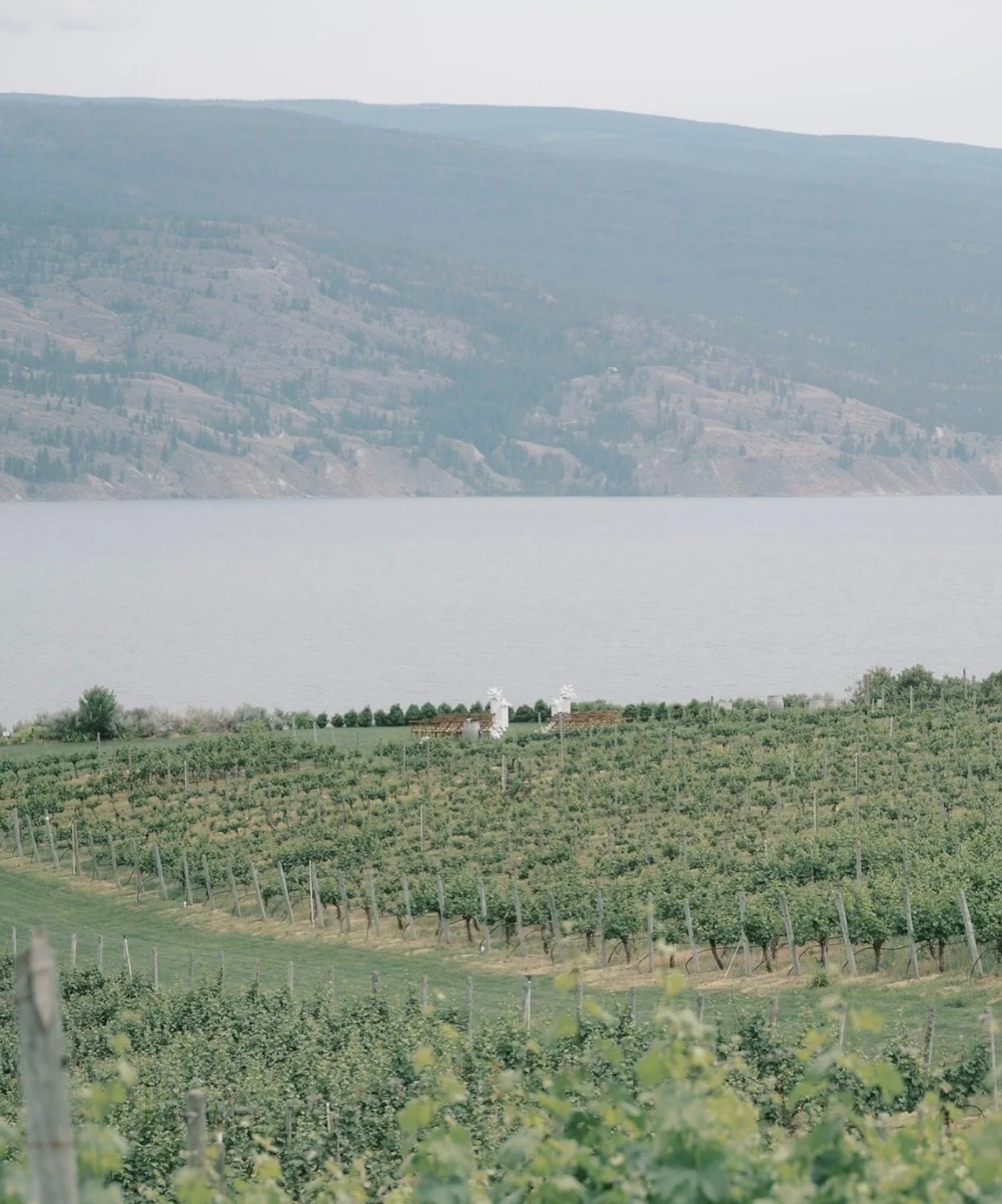 2027 Okanagan Wedding &amp; Event Trends: Colour, Guest Counts &amp; Why Vineyards Are Having a Moment