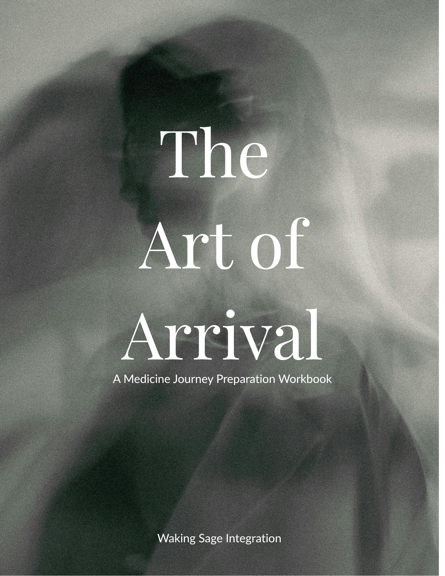 The Art of Arrival.png