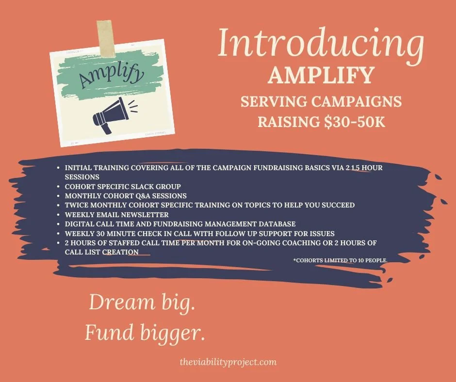 Good news: getting the fundraising help you need doesn&rsquo;t have to break the bank. 💸 At The Viability Project, we specialize in making campaign support accessible and affordable because we believe everyone deserves a fair shot at running for off