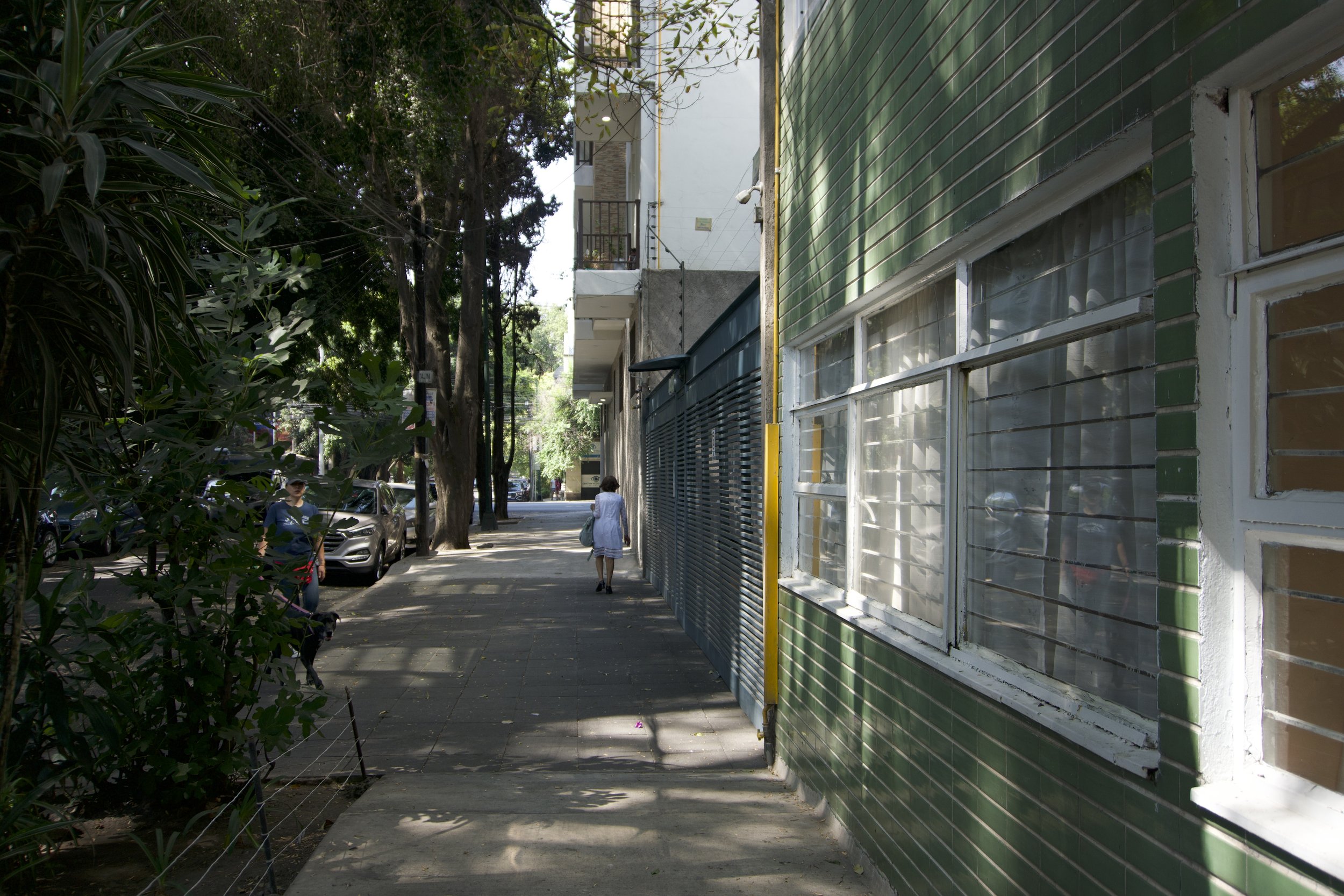 DSC06675.jpeg