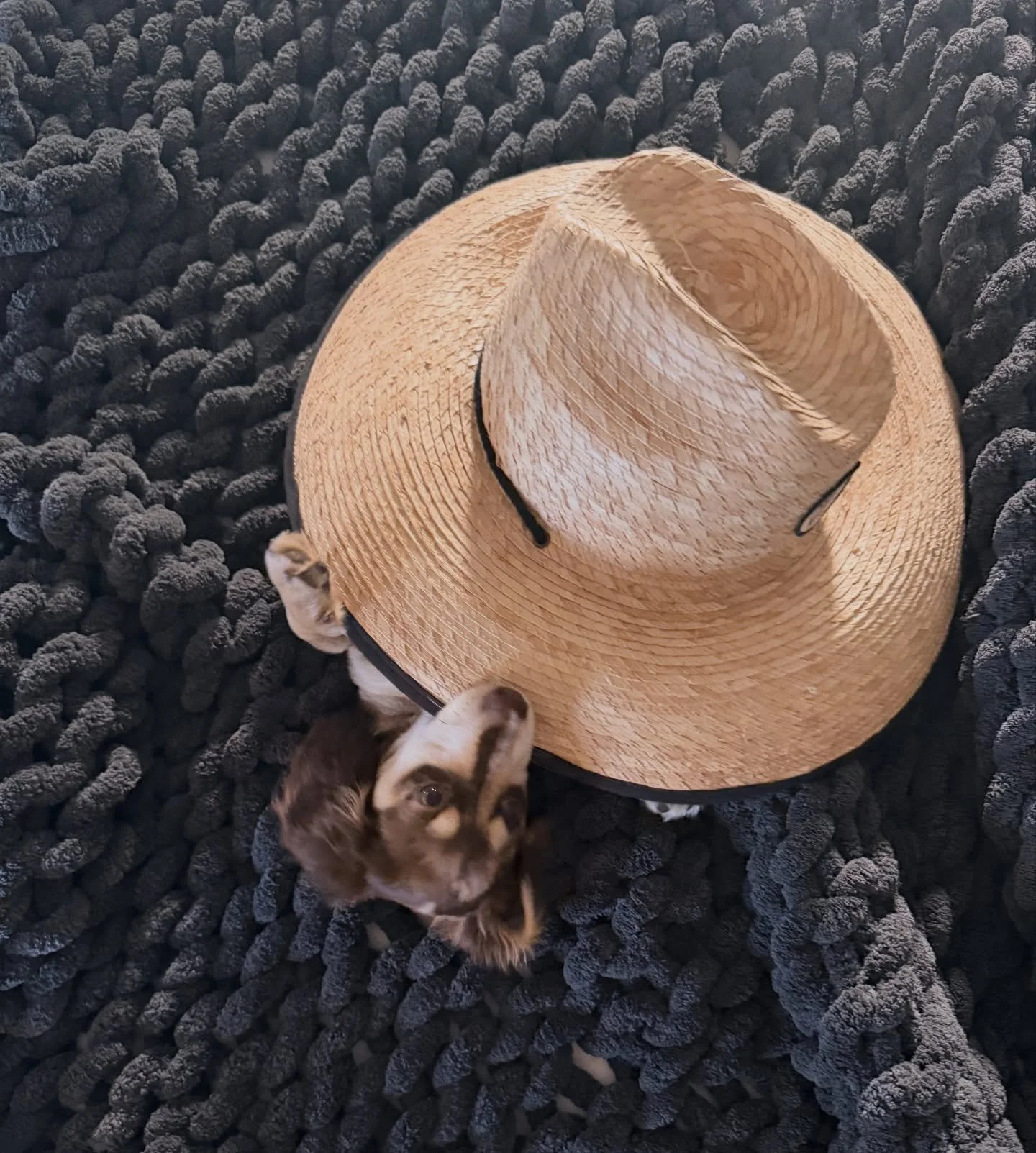 Meet Clyde, he&rsquo;s helping me with my Sunday Reset!! Your Sunday reset isn&rsquo;t about doing more&hellip; it&rsquo;s about choosing better ✨

Better pieces.
Better outfits.
Better energy.

Take 20 minutes today and step into your closet with in