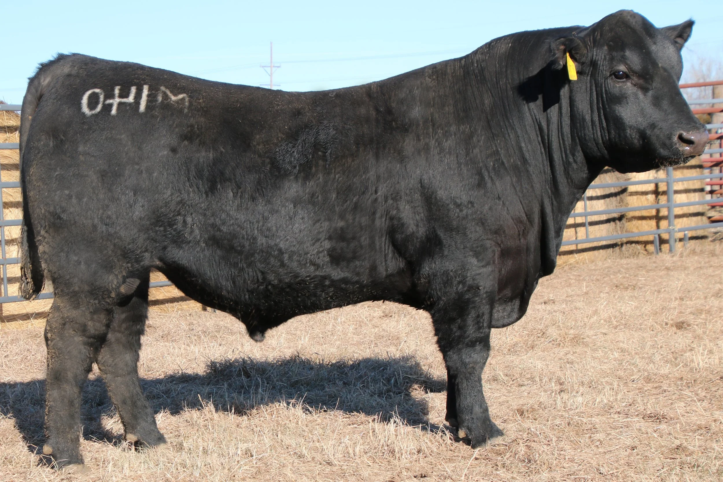 Lot 39 - WFQ Craftsman 121L M140