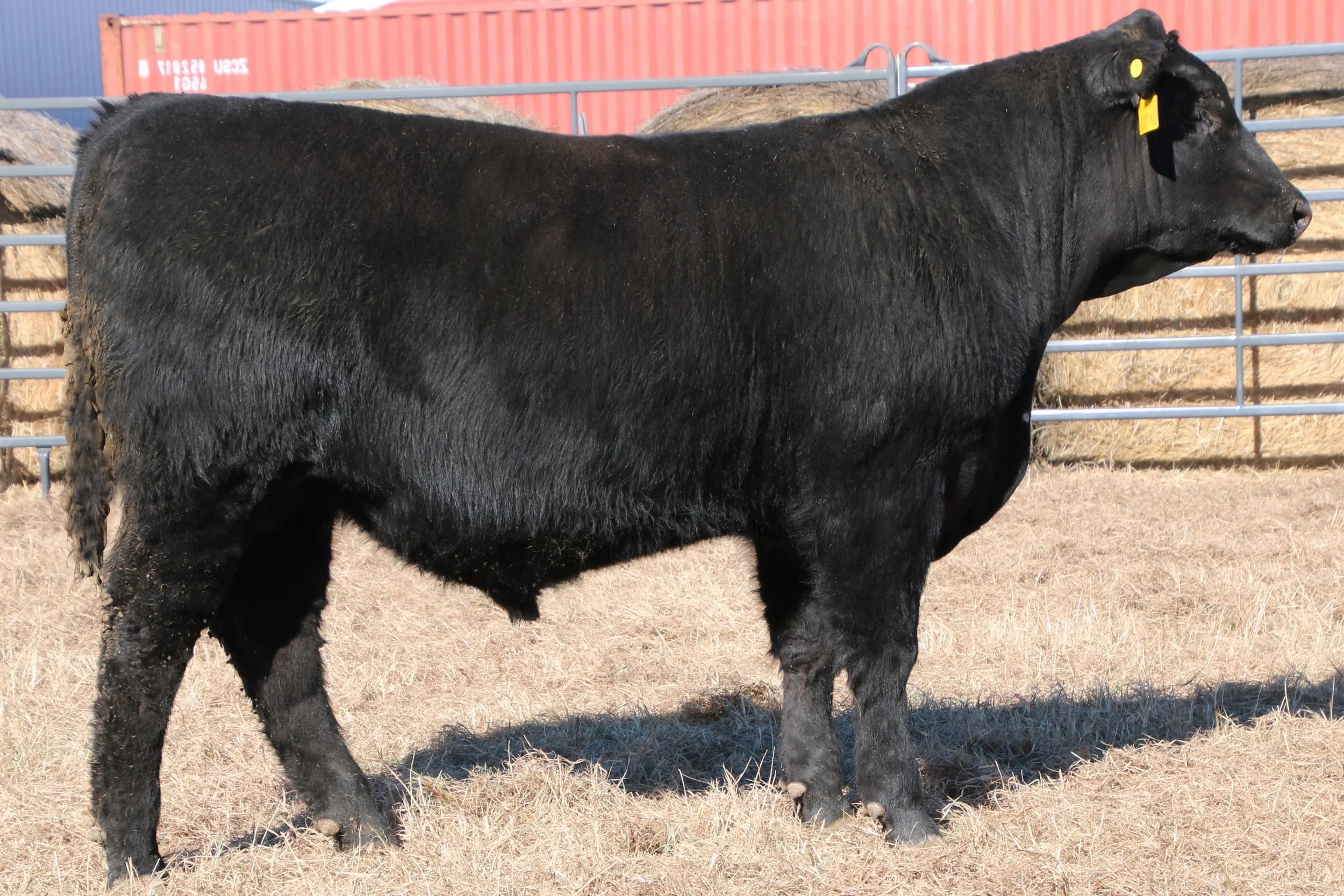 Lot 21 - WFQ Armory F139 N67