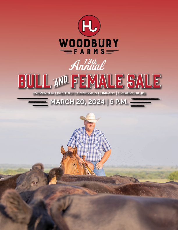 Woodbury Farms Quality Angus and Hereford Based Cattle