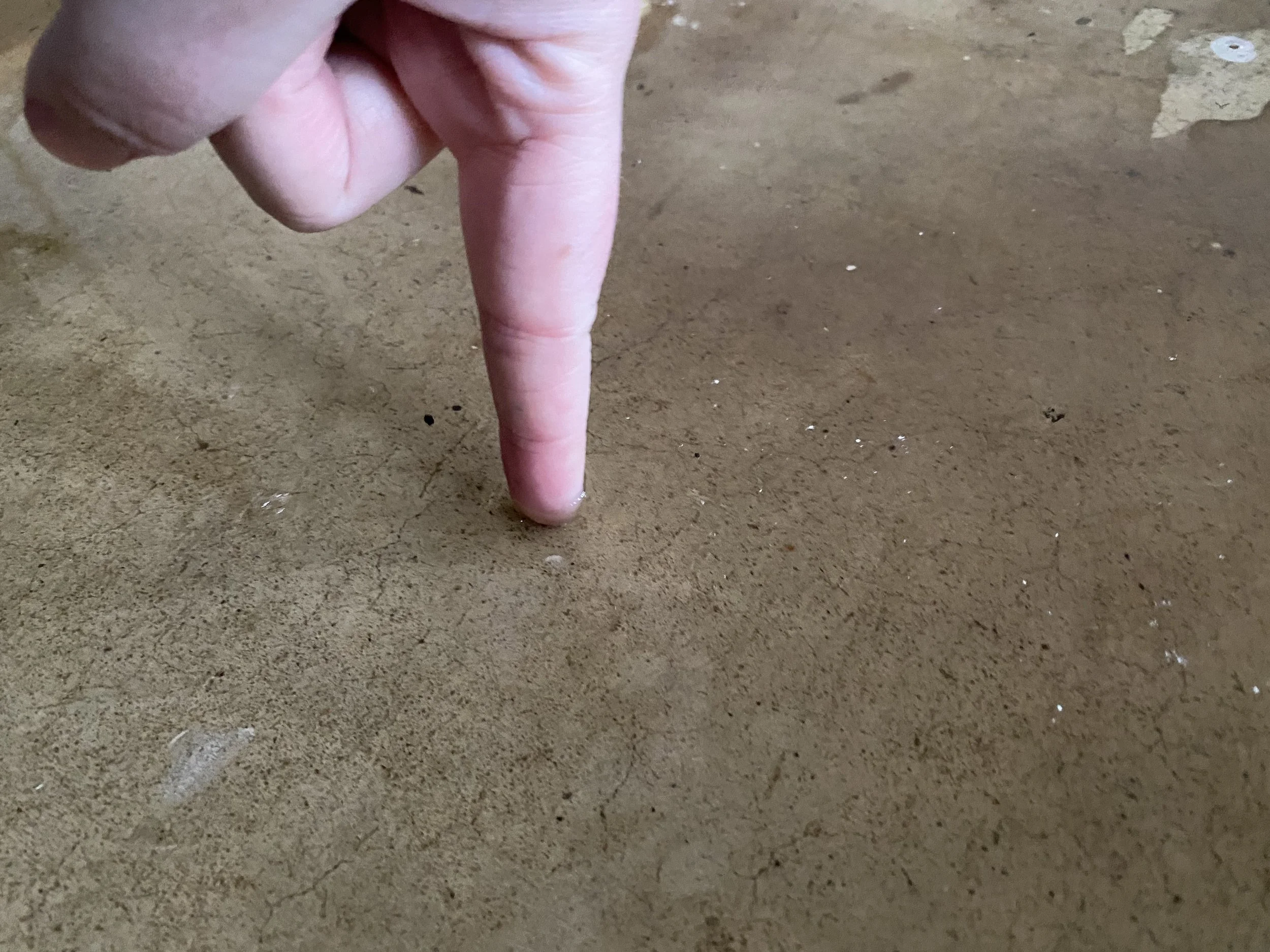 water depth +/- 12 hours post storm