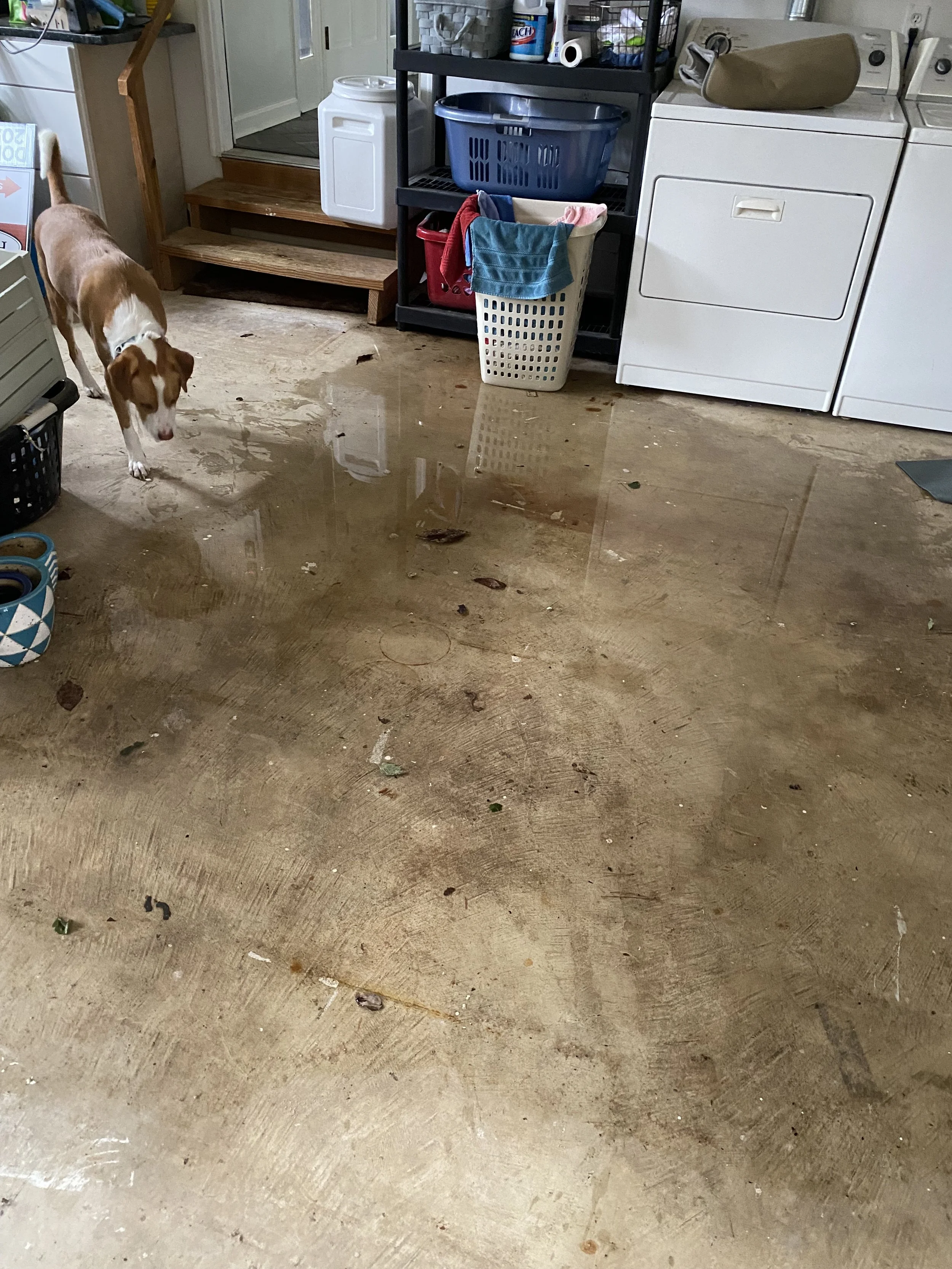 CEO of WLD inspecting an ongoing incident