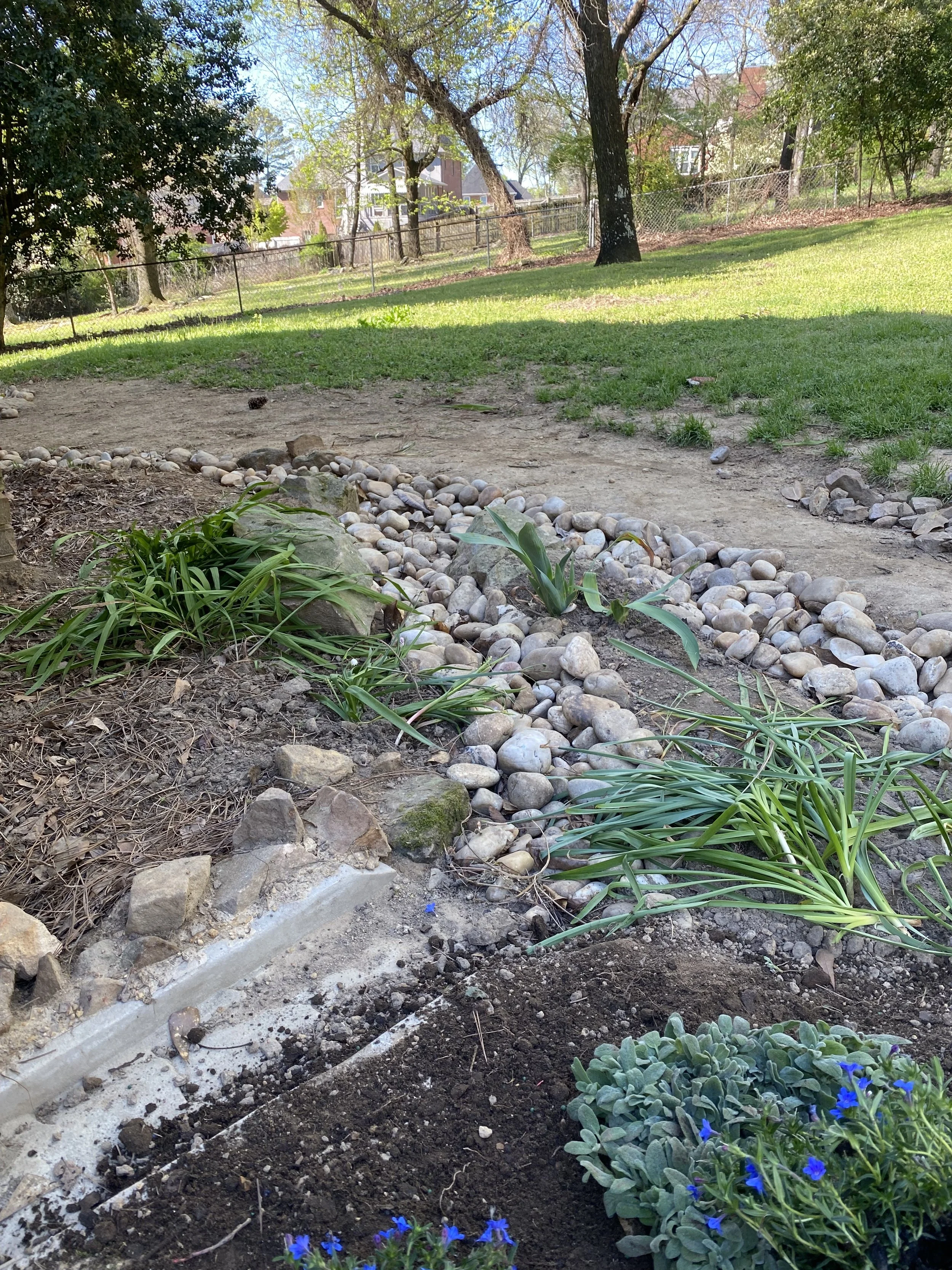 initial planting -  may 10th, 2024