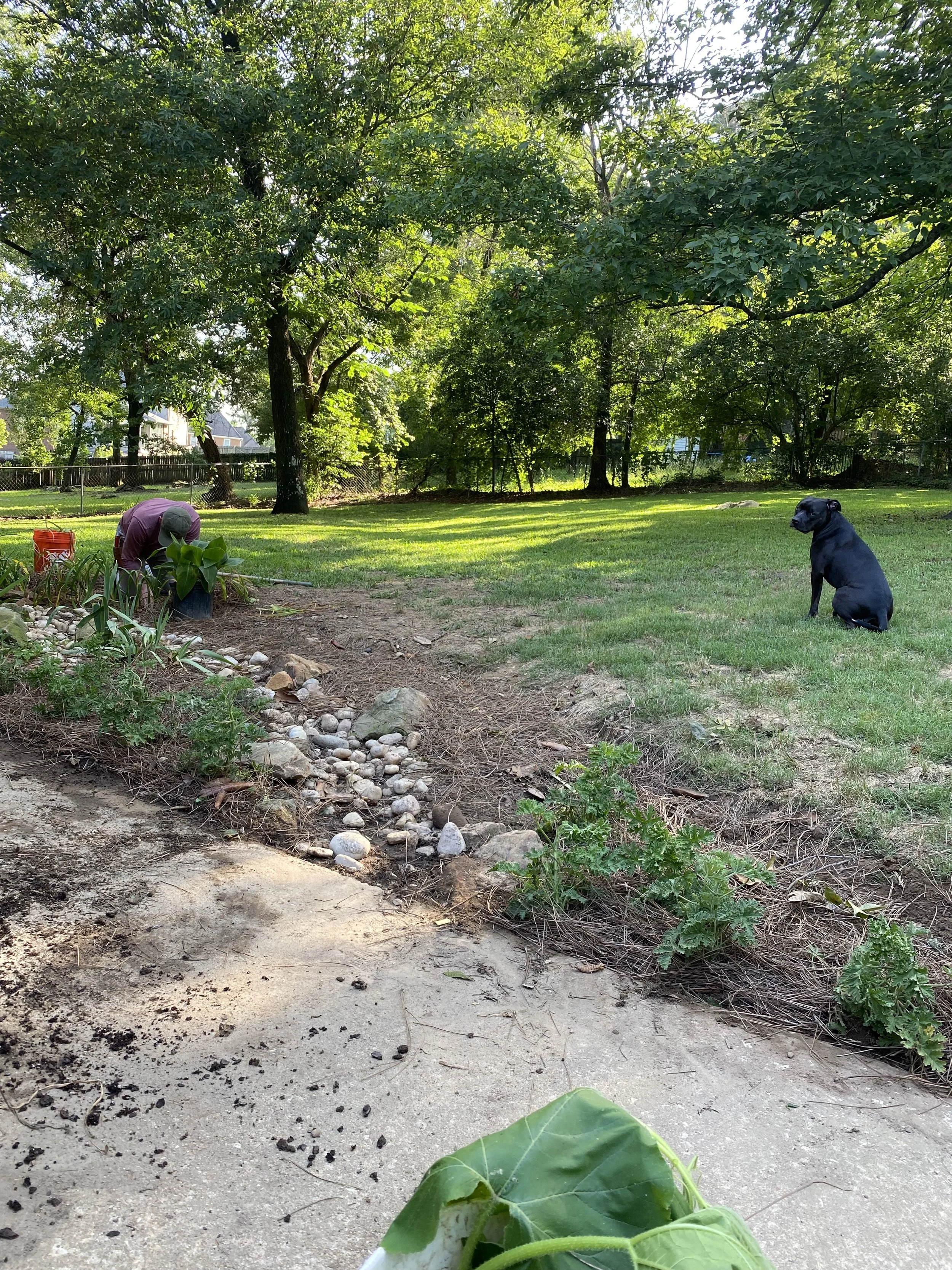 may 27th, 2024 - planting round two (ft. Duck)