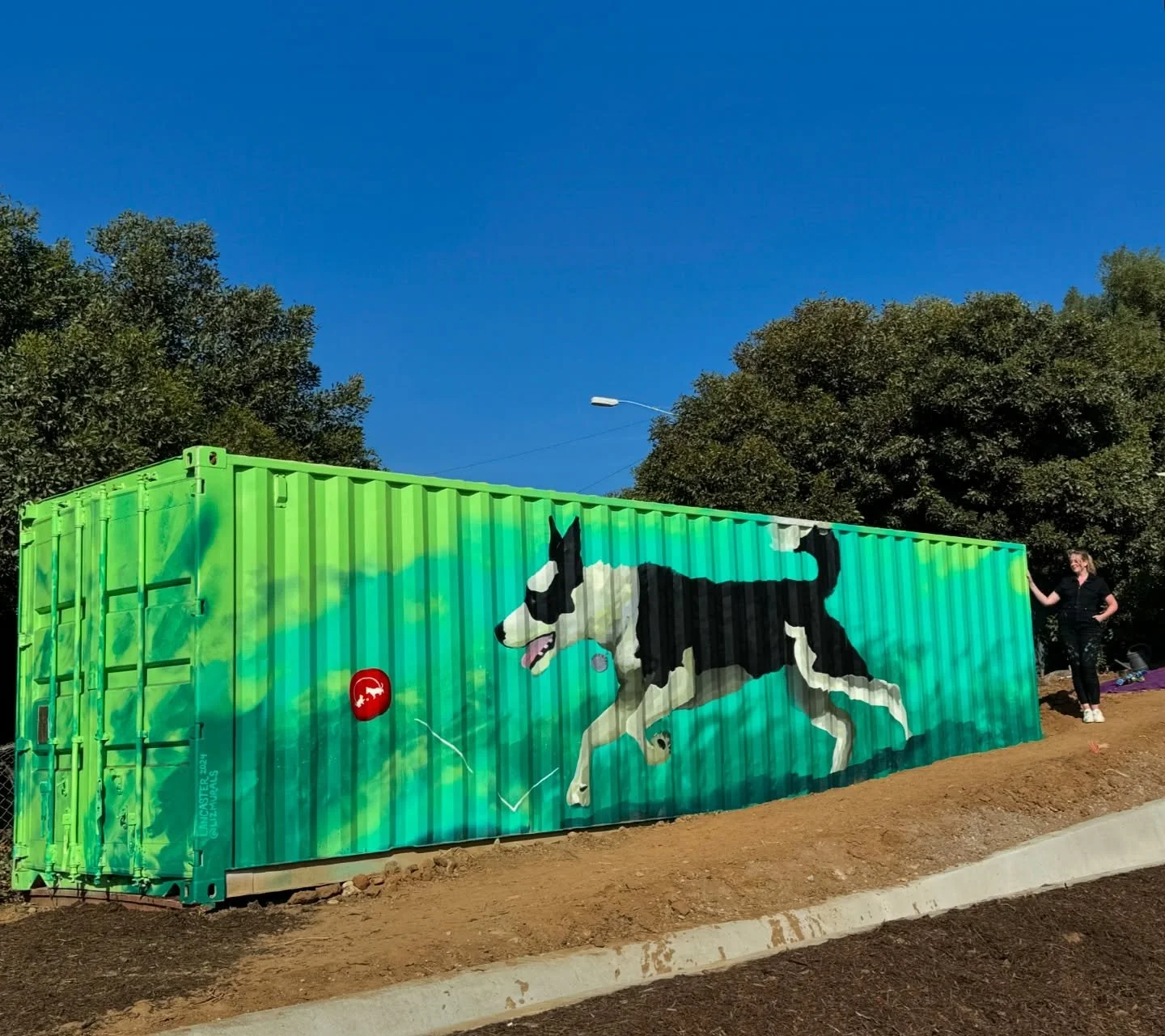 &ldquo;Underdog&rdquo;, at Rancho Coastal Humane Society in Encinitas. Featured on CBS8, CW, SDCN and more!