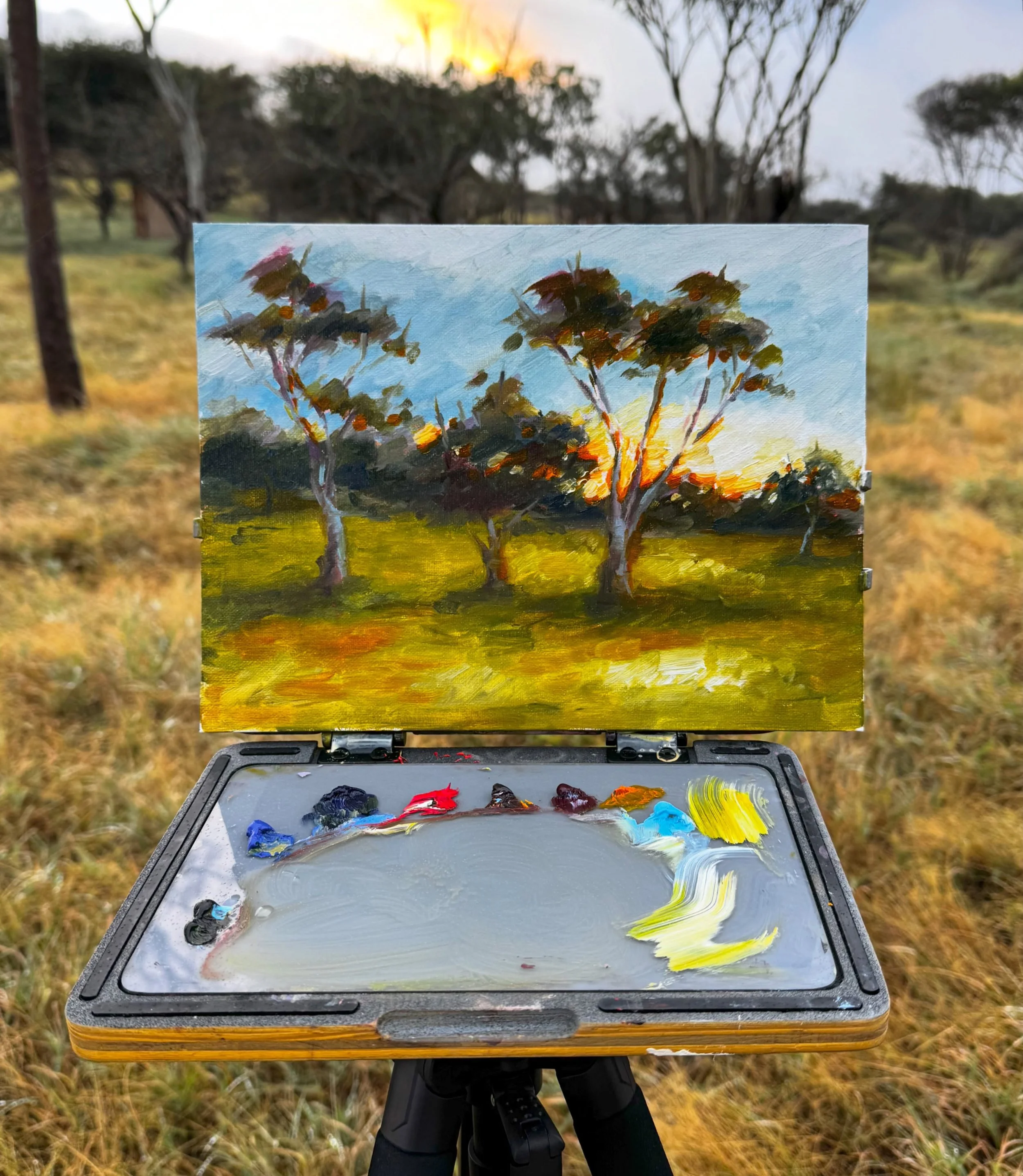 Views from the savanna 🌅 

Painting and exploring here in northern Tanzania has been nothing short of unforgettable - the wildlife, the sunrises, the incredibly welcoming Maasai. I wish I could capture it all!
