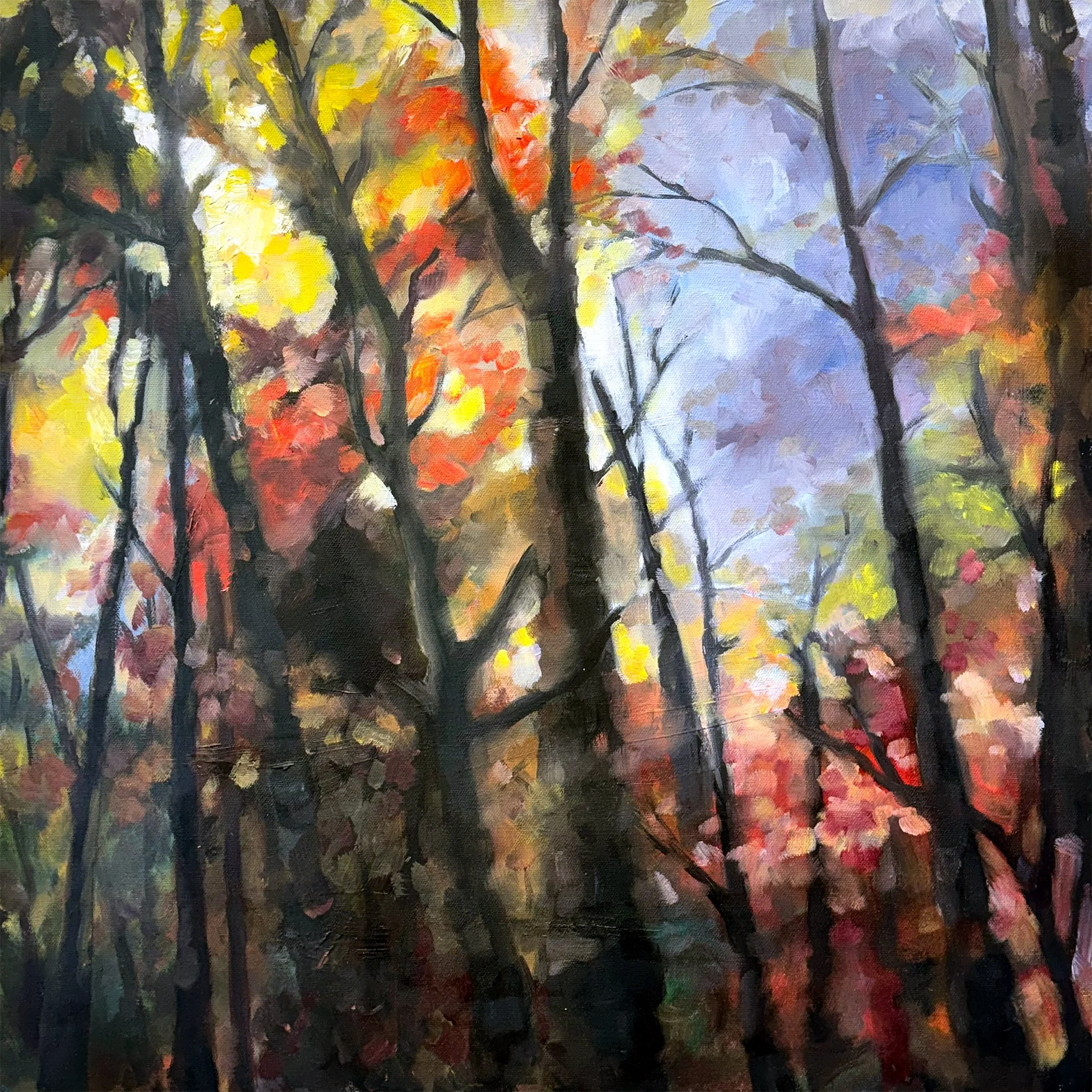 2024 Trees from Home 24x24 oil on canvas.jpg