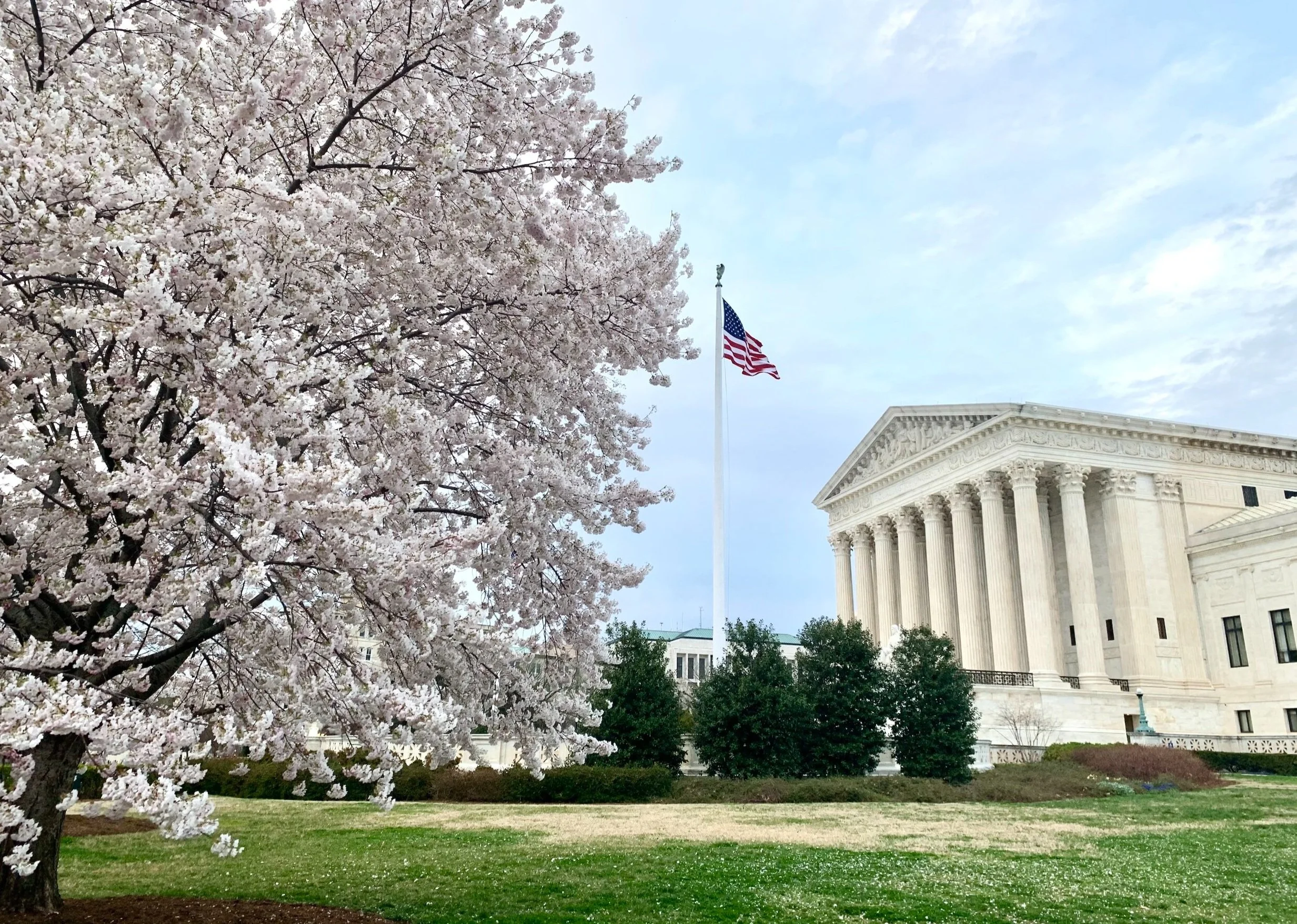 The U.S. Supreme Court building with a cherry blossom tree in bloom in the foreground, an American flag on a flagpole nearby, and a cloudy sky above.