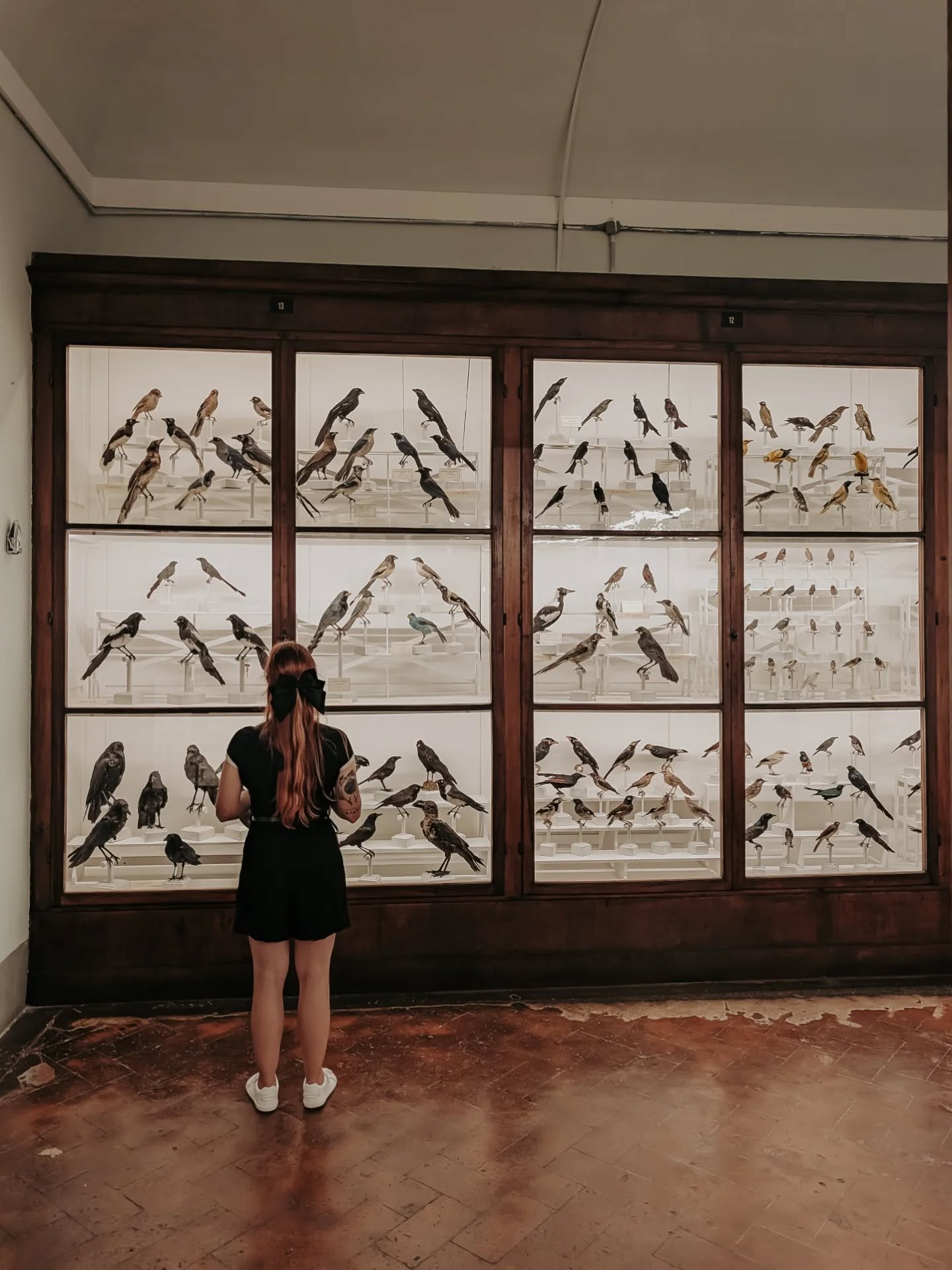 Stay curious friends.
.
From the Natural History Museum, La Specola
Florence Italy 
.
I love the natural world, it's fascinating.
I can't explain what it was like to walk these very old halls full of birds, animals, anotomical wax humans.
Of our worl