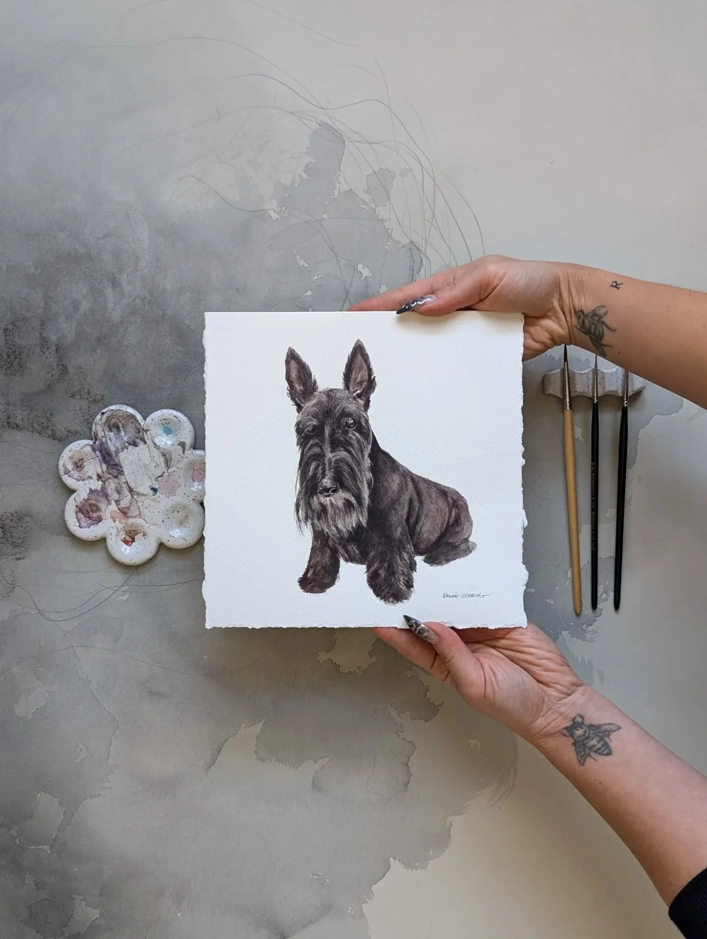 It's been a hot minute since I posted a portrait!
This is the handsome Duff.
.
I can't believe this is the first Scottie I've painted.
Knee deep in commission season right now, which is always fun. So many cute pets I have the pleasure of painting. F