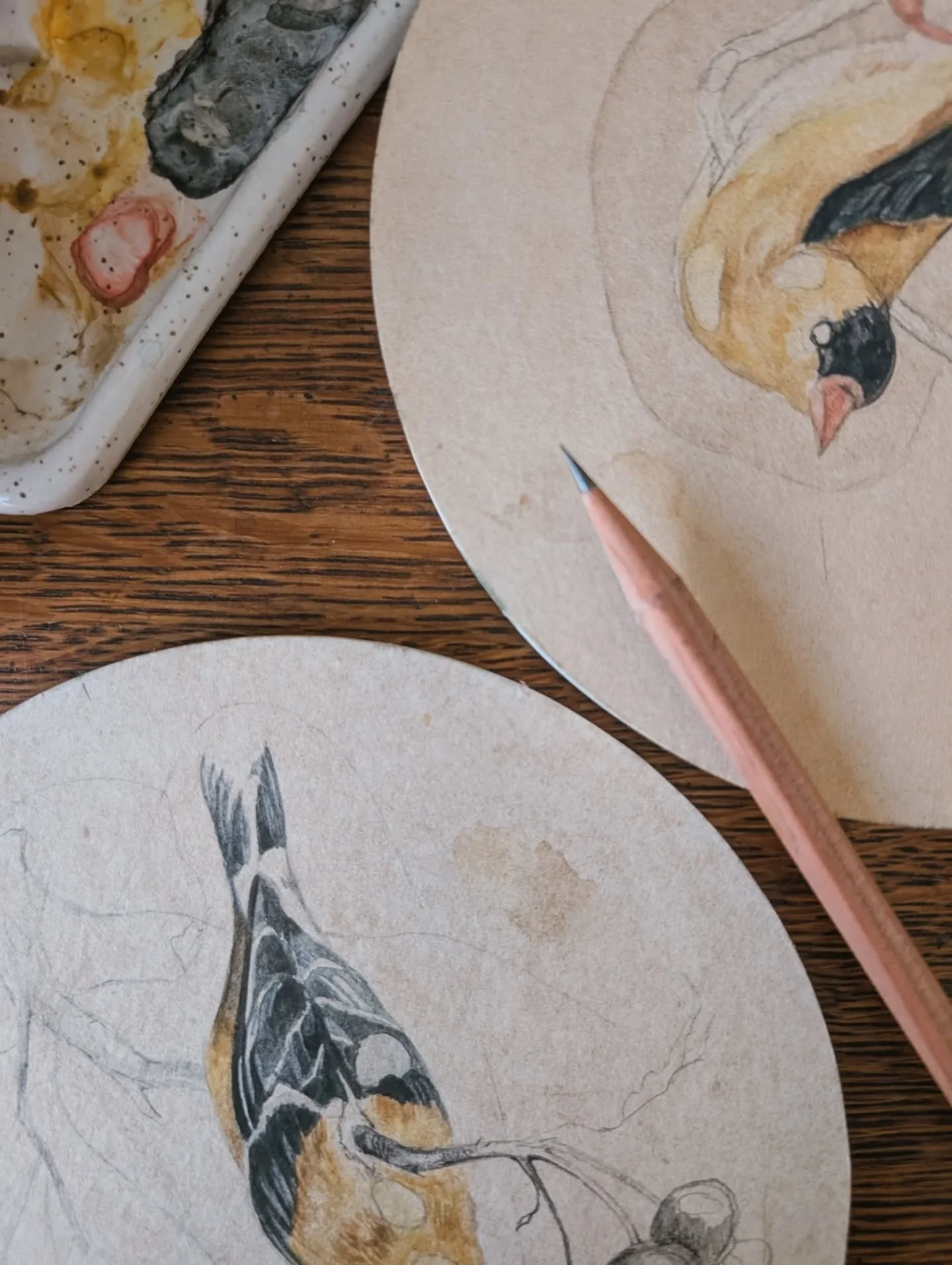 Reciprocity.
Exploration in life and death.