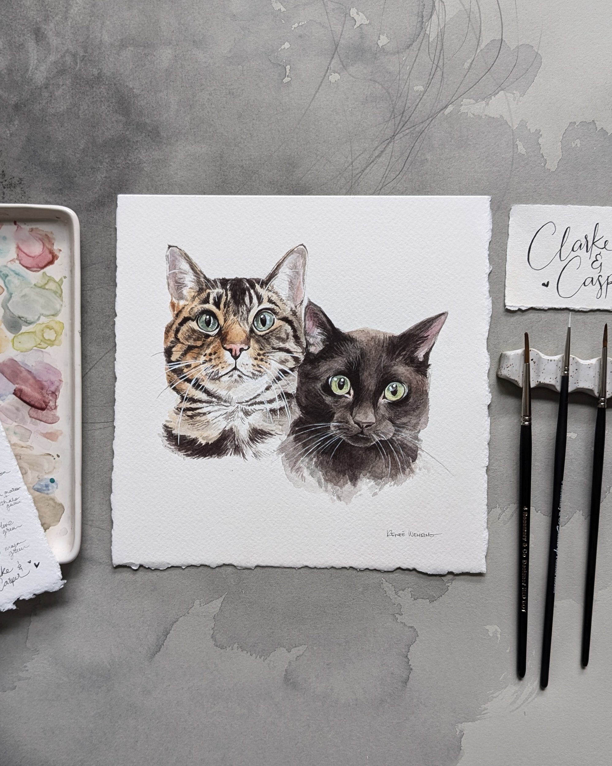 PXL_20240827_180225745.jpg