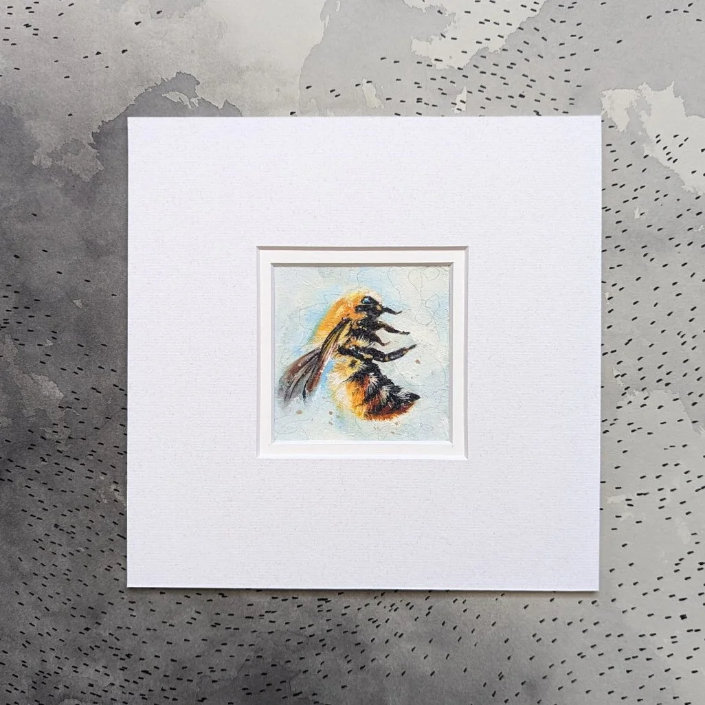 Tricolour Bumble Bee