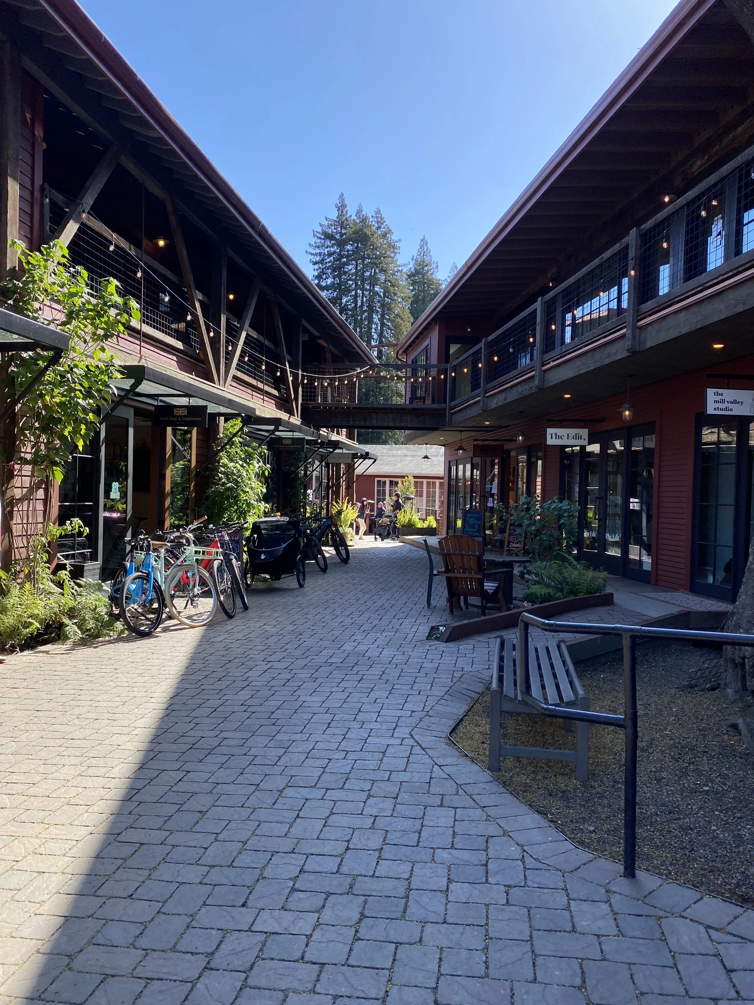 A courtyard with storefronts on both sides, bicycles parked on the left, outdoor seating, and string lights overhead, with tall trees and blue sky in the background.