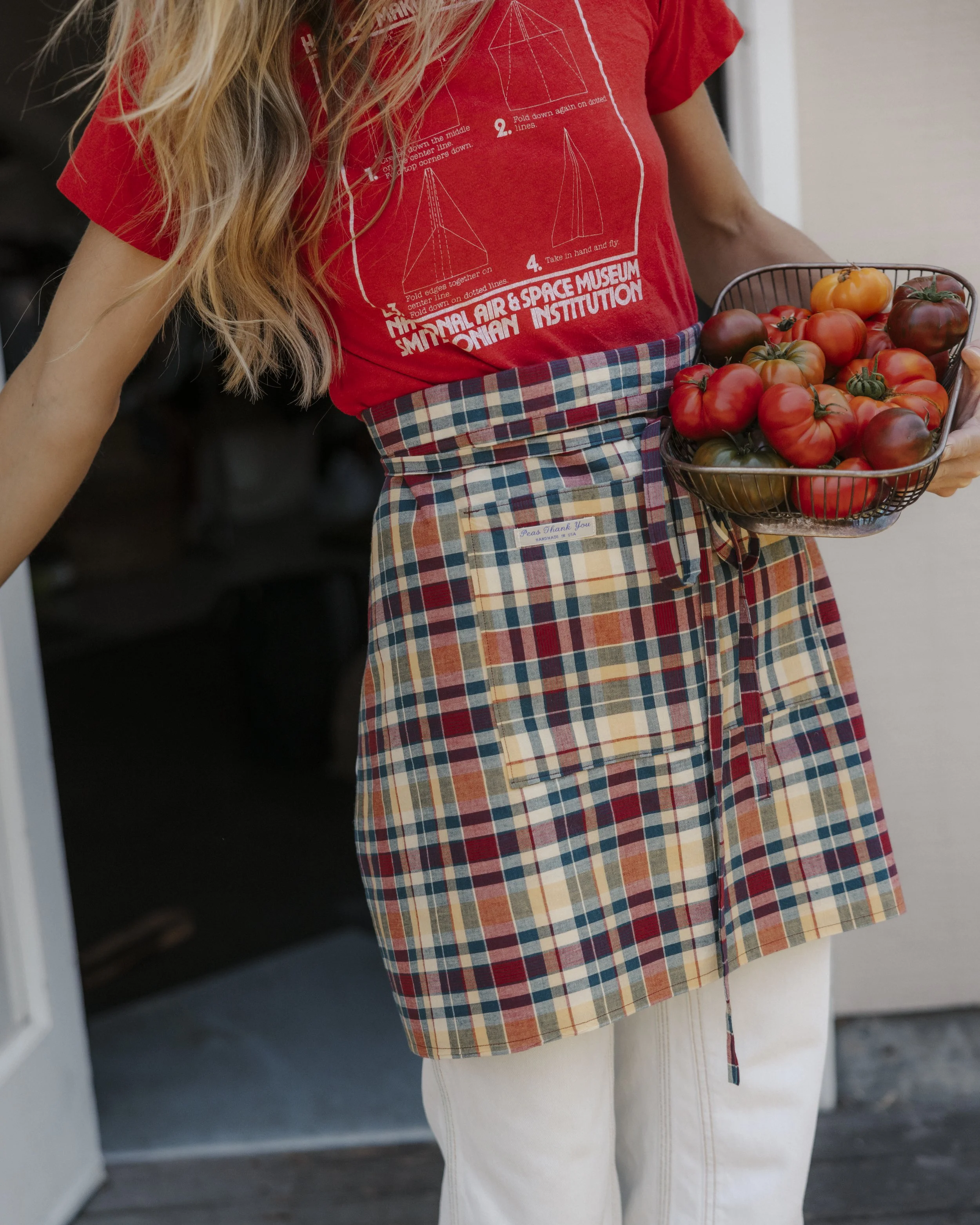 Person wearing a red NASA t-shirt and a plaid apron holding a wire basket of tomatoes at the doorway.