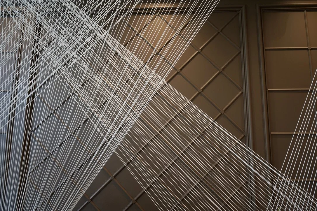 4CBD076A-2D7D-4438-8CDF-45C715C53F45_1_105_c.jpeg