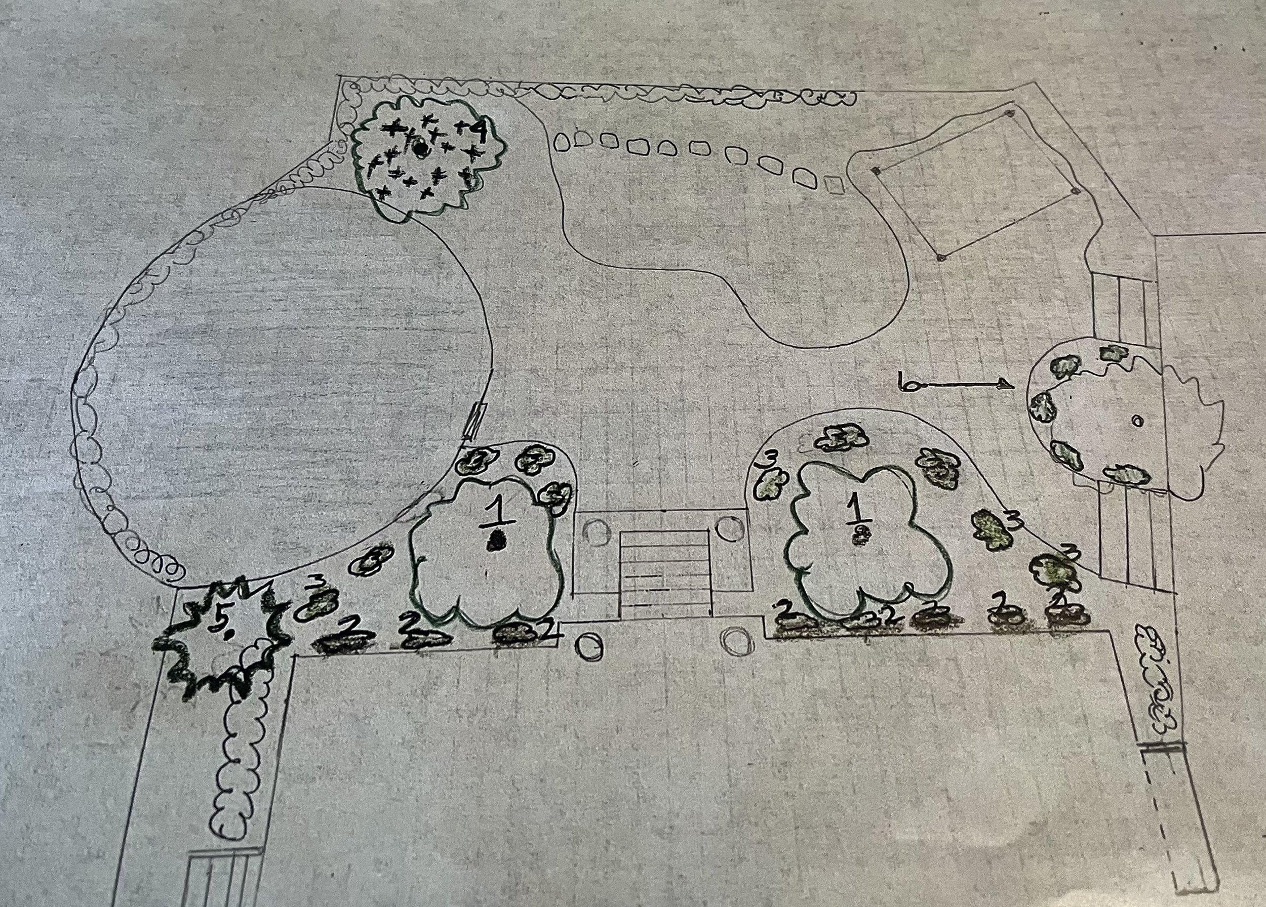  A hand drawn plan for an outdoor space with many plants along the borders. 