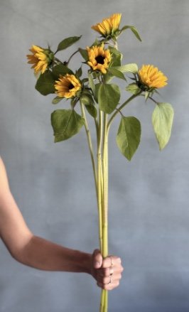 Image 6-28-25 at 11.16 PM.jpeg