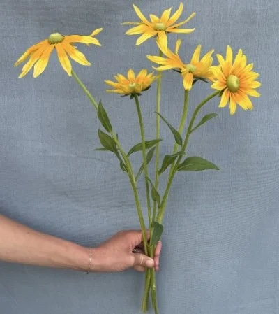 Image 7-26-25 at 9.39 PM.jpeg