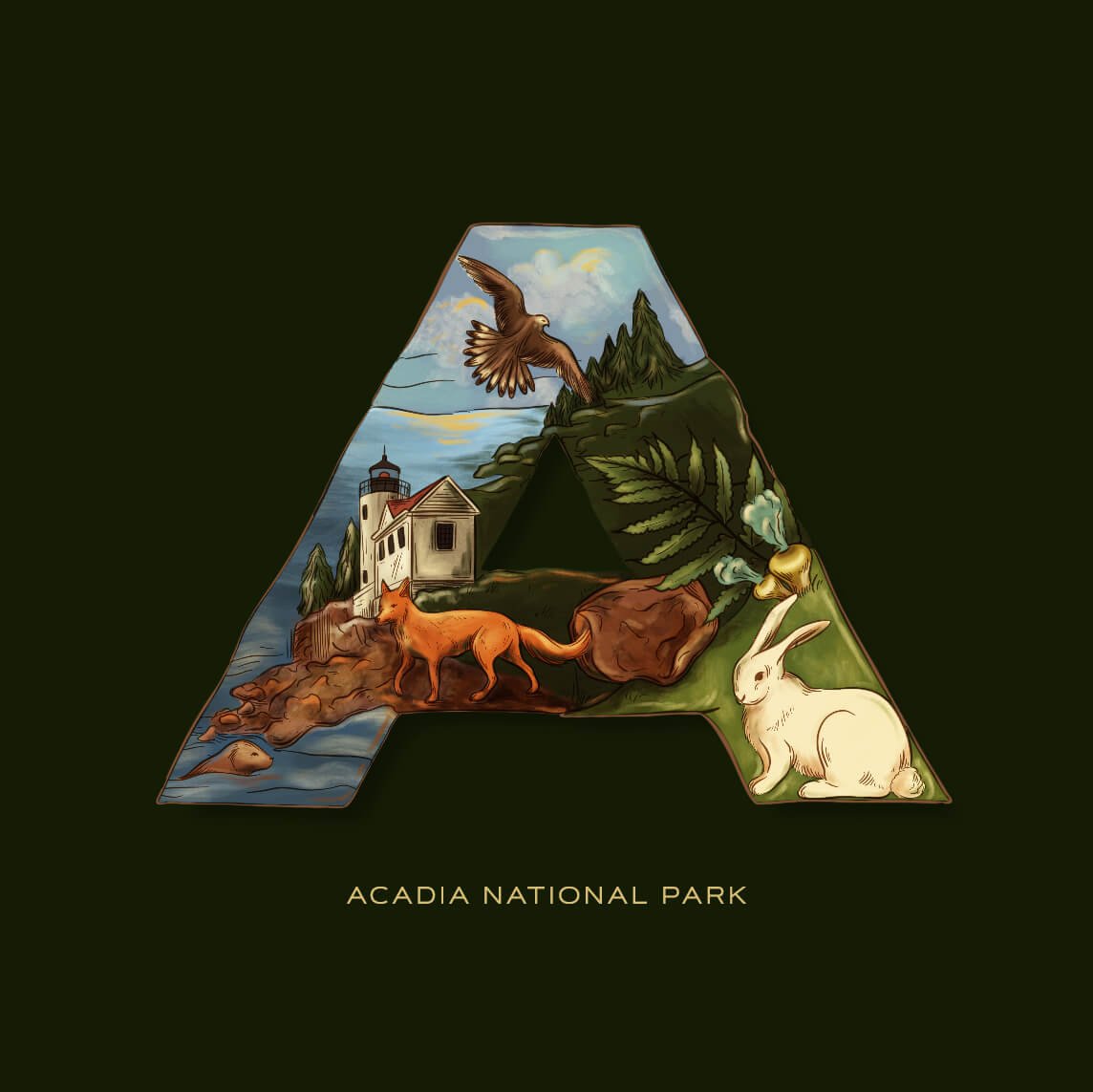 A is for Acadia National Park