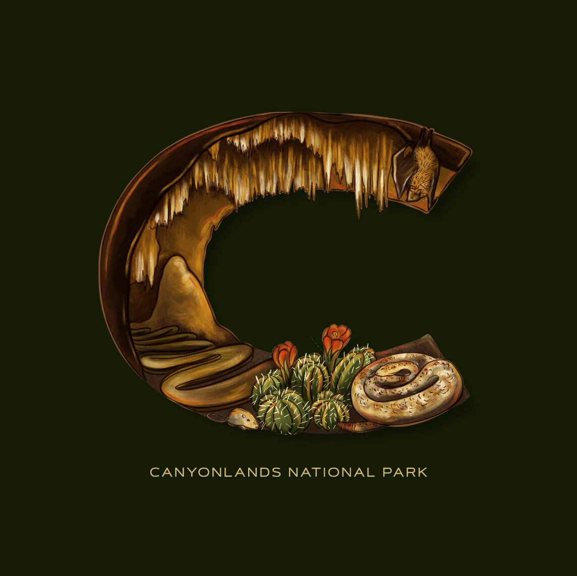 C is for Canyonlands National Park