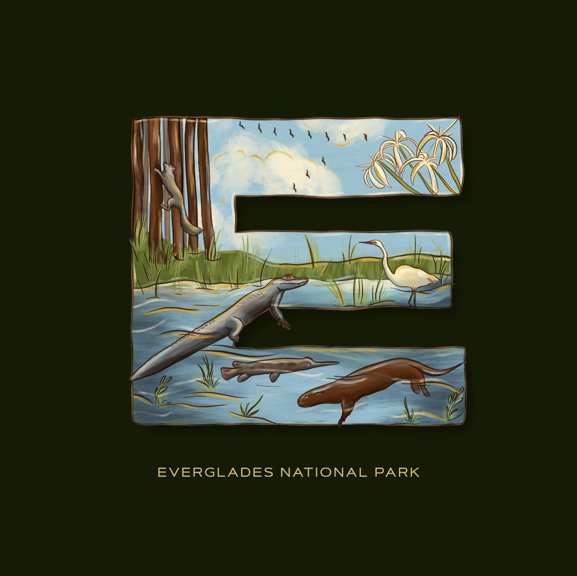 E is for Everglades National Park